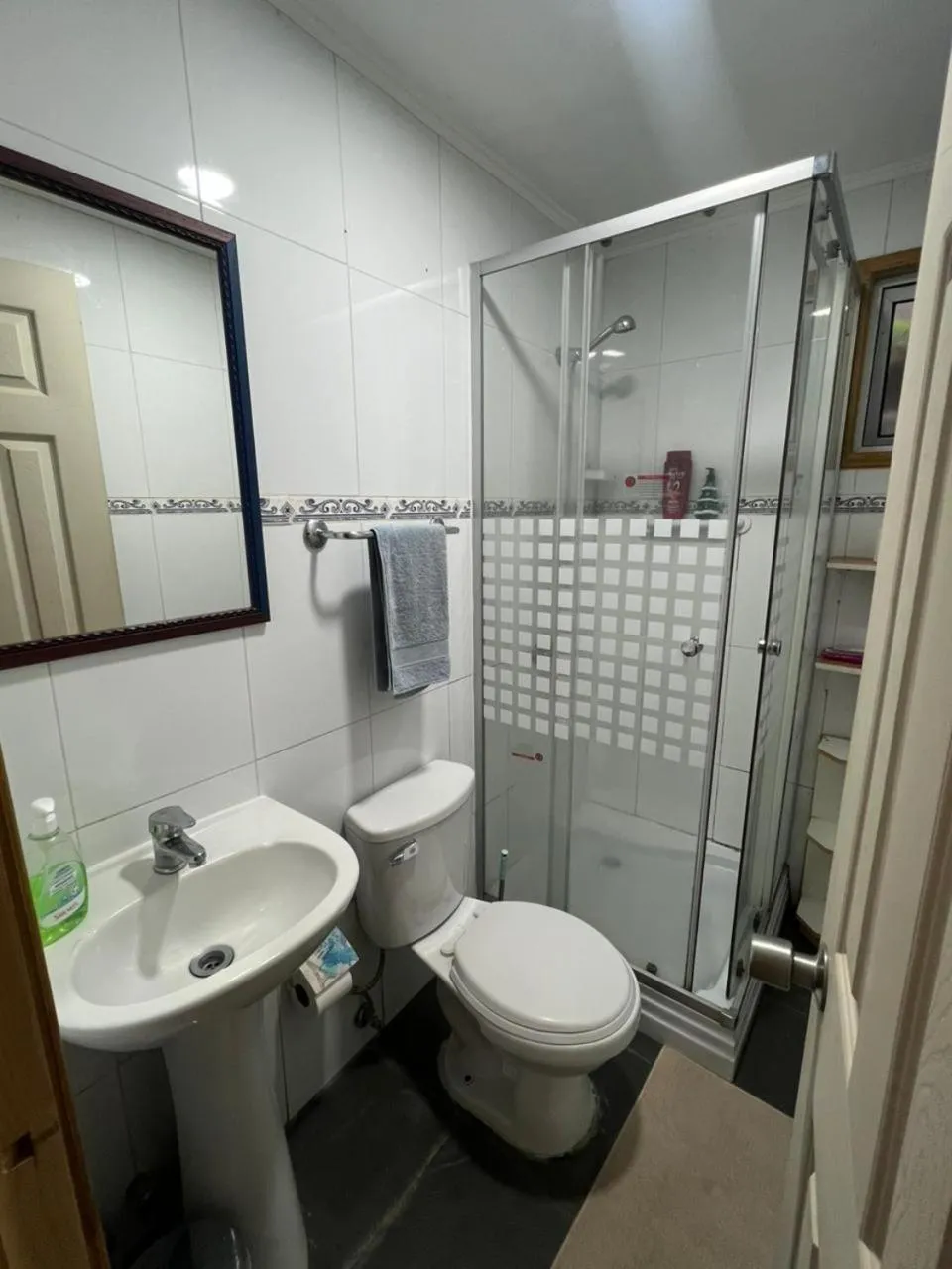 Bathroom in Hospedaje El Roble, Puerto Varas