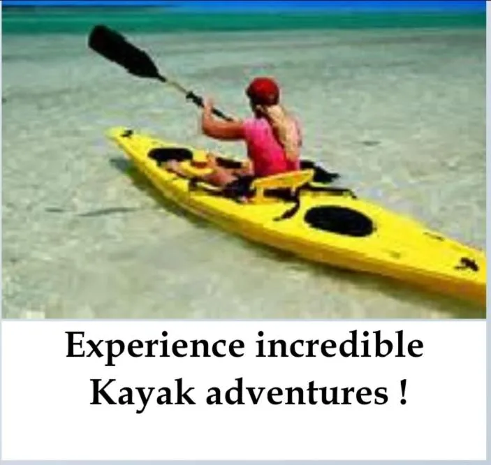 Old Wooden Bridge Resort & Marina