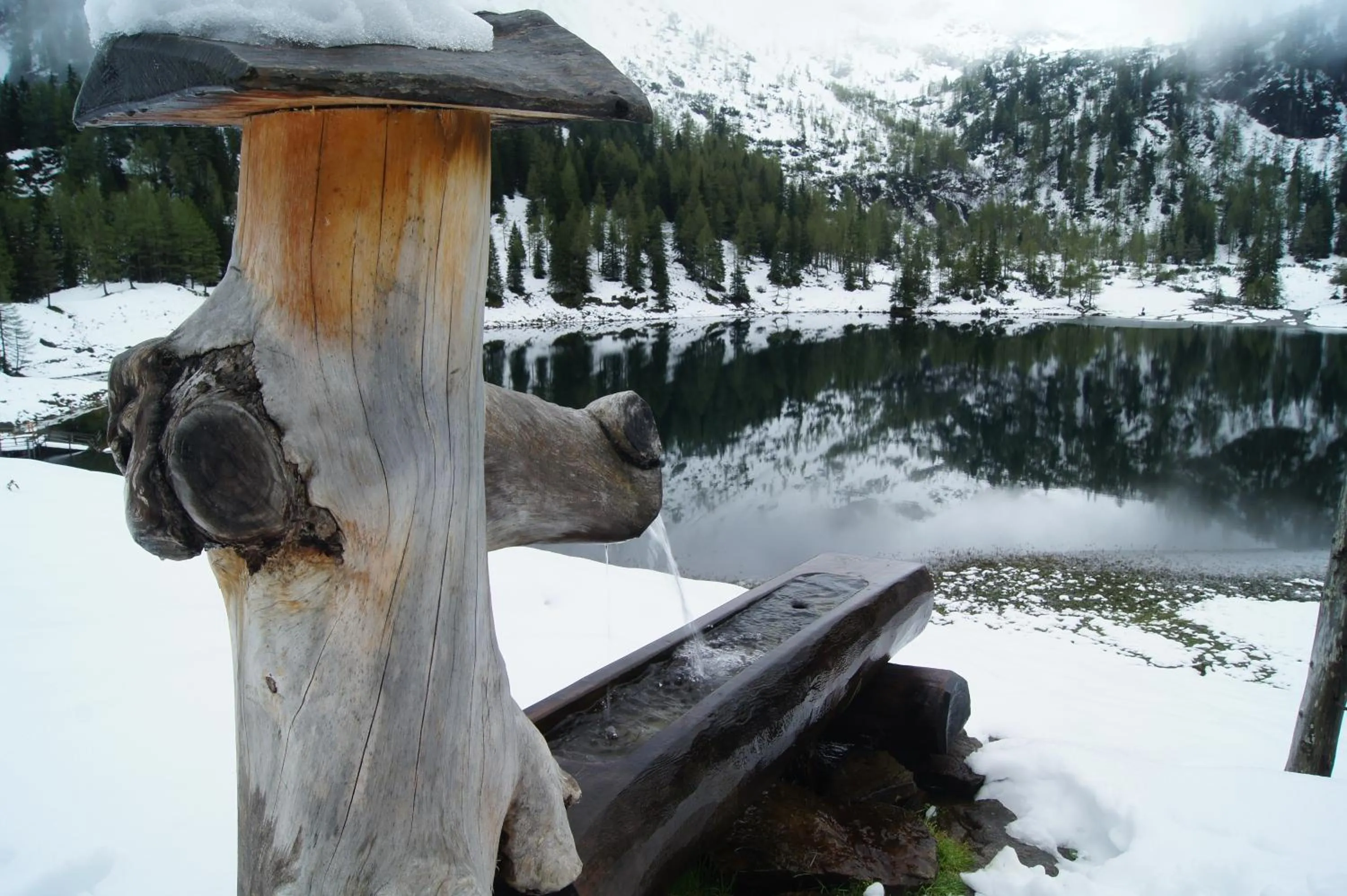 Spring in Dachsteinblick