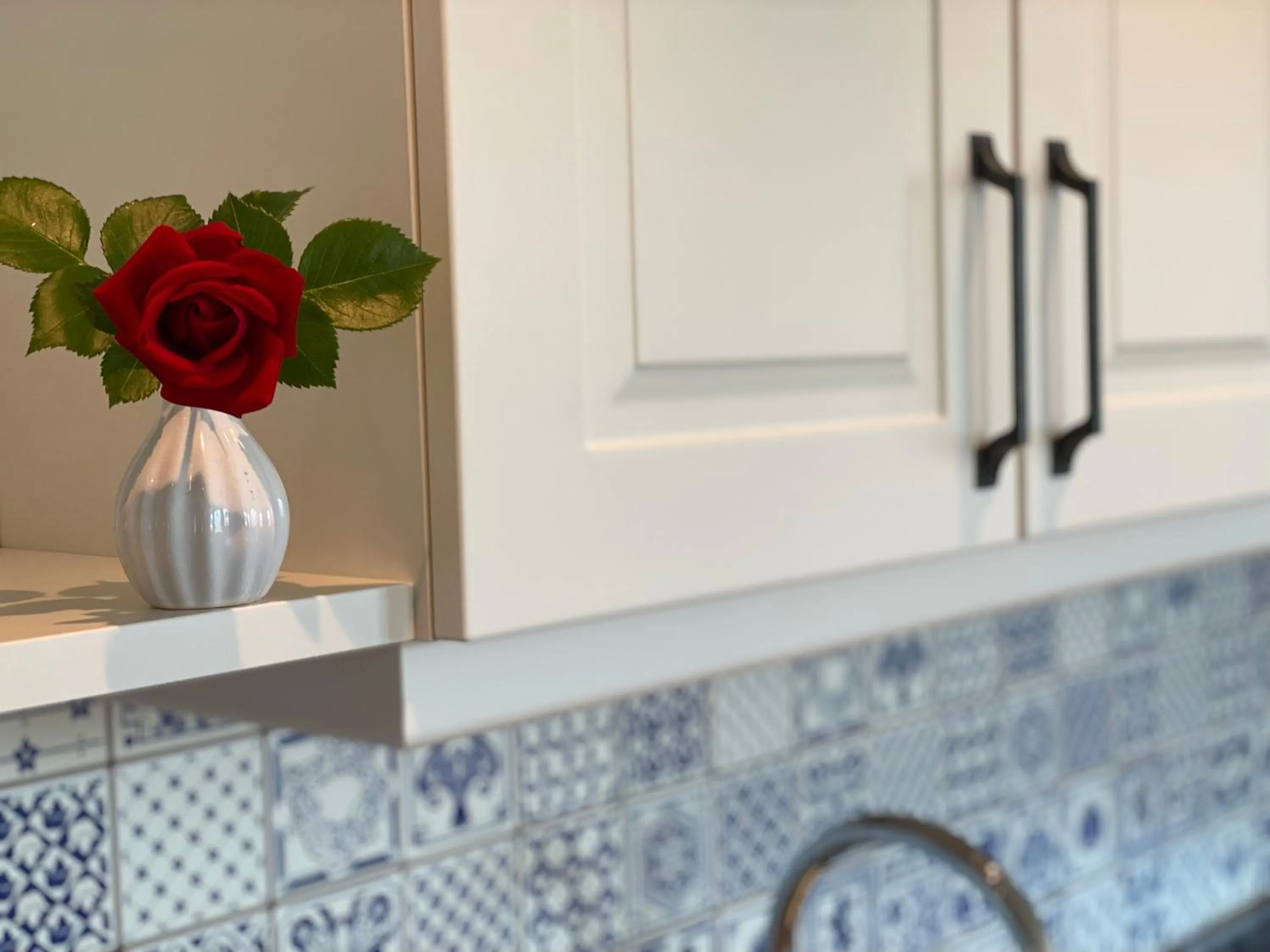 Kitchen or kitchenette in Dachsteinblick