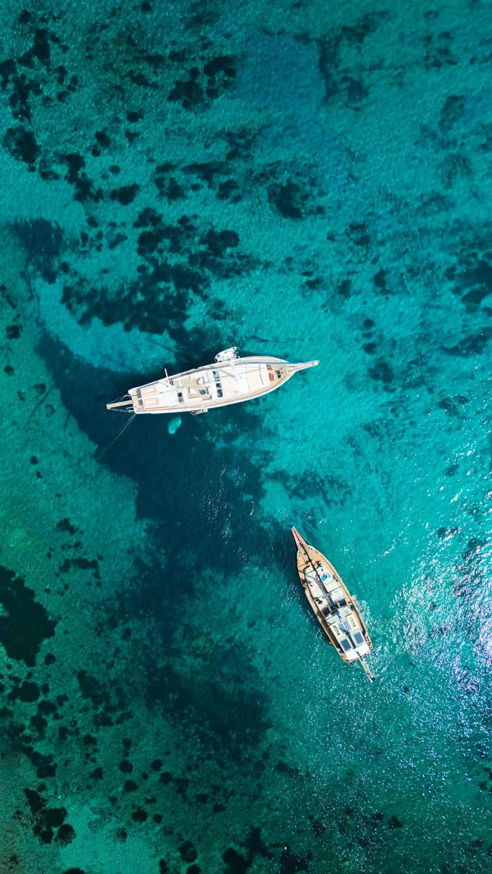 The Coast Bill&Coo-The Leading Hotels of the World