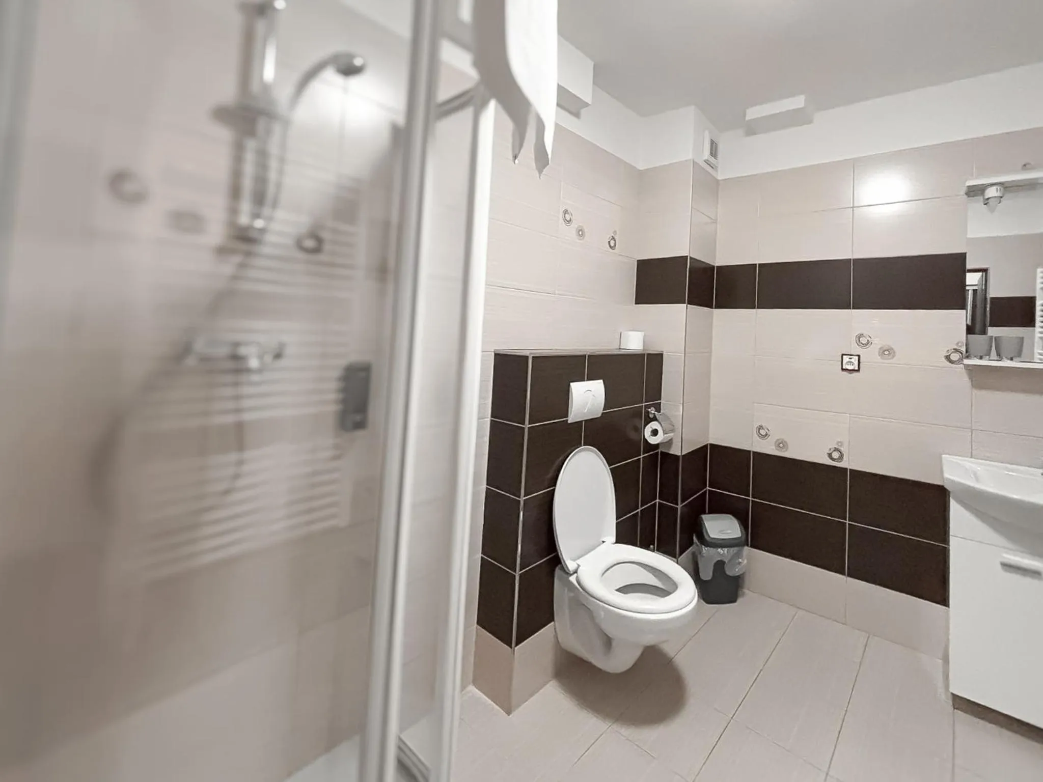 Bathroom in Hotel Pod Radnicí