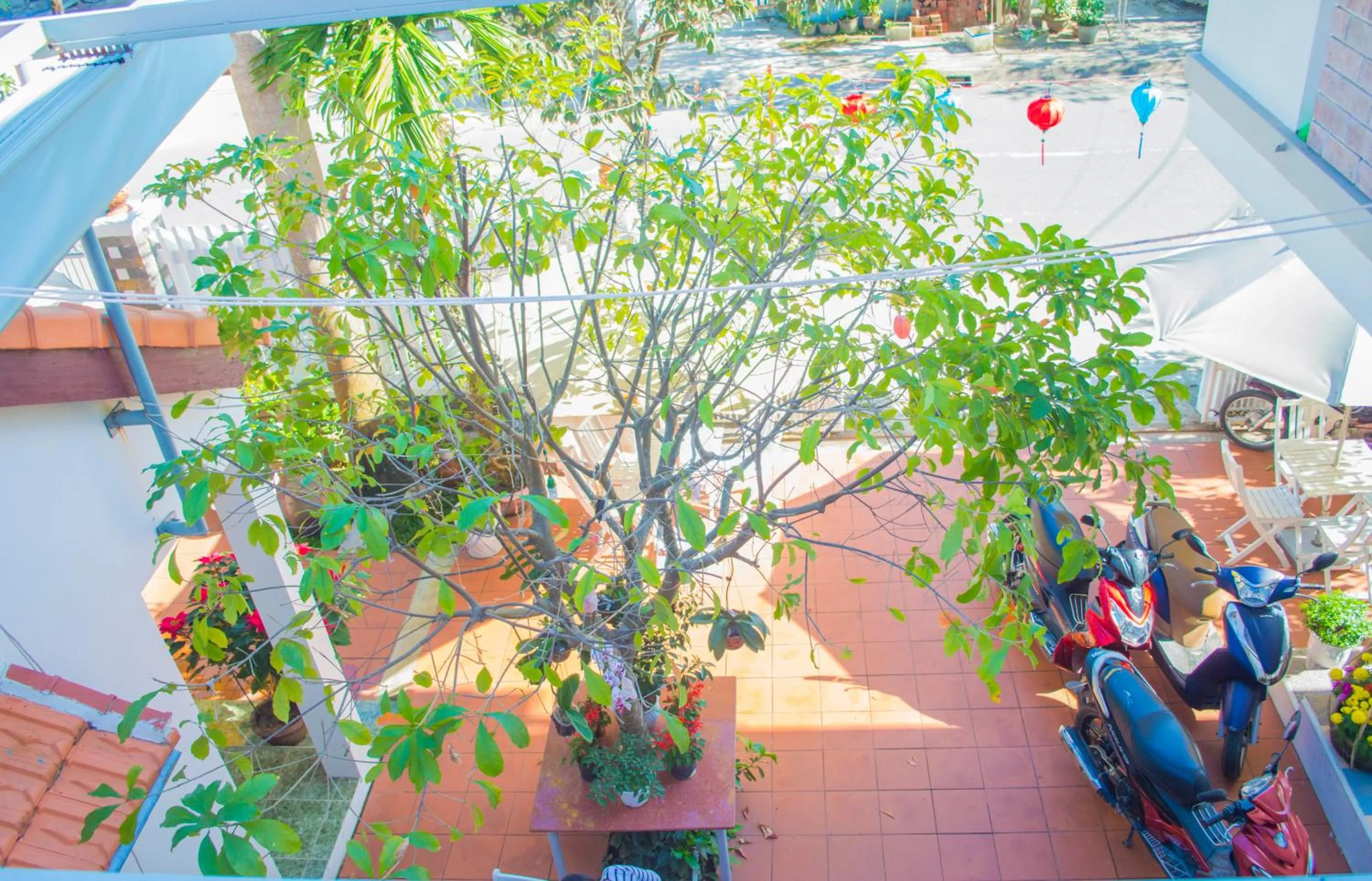 Garden in HaLo HomeStay