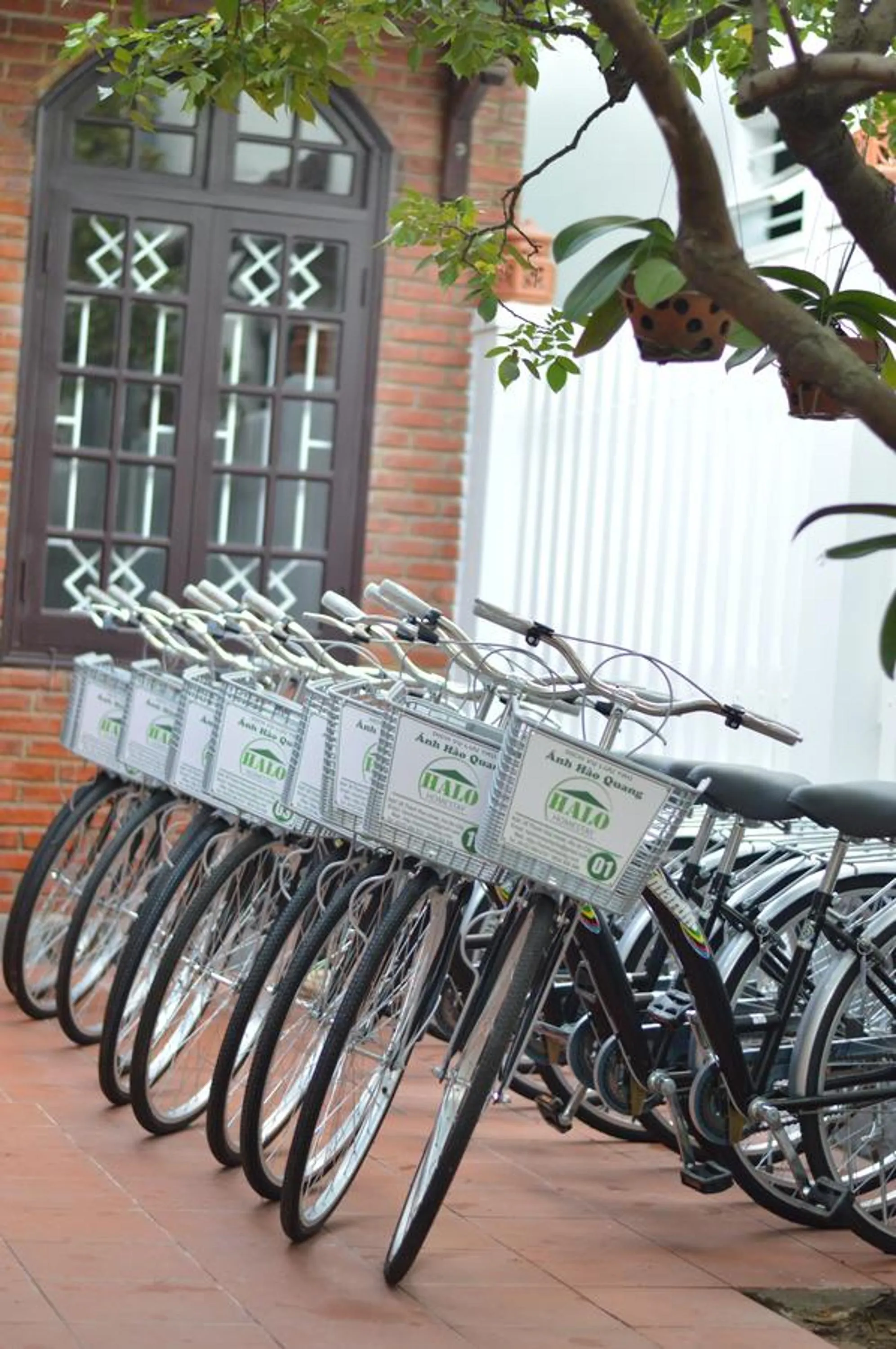 Cycling in HaLo HomeStay