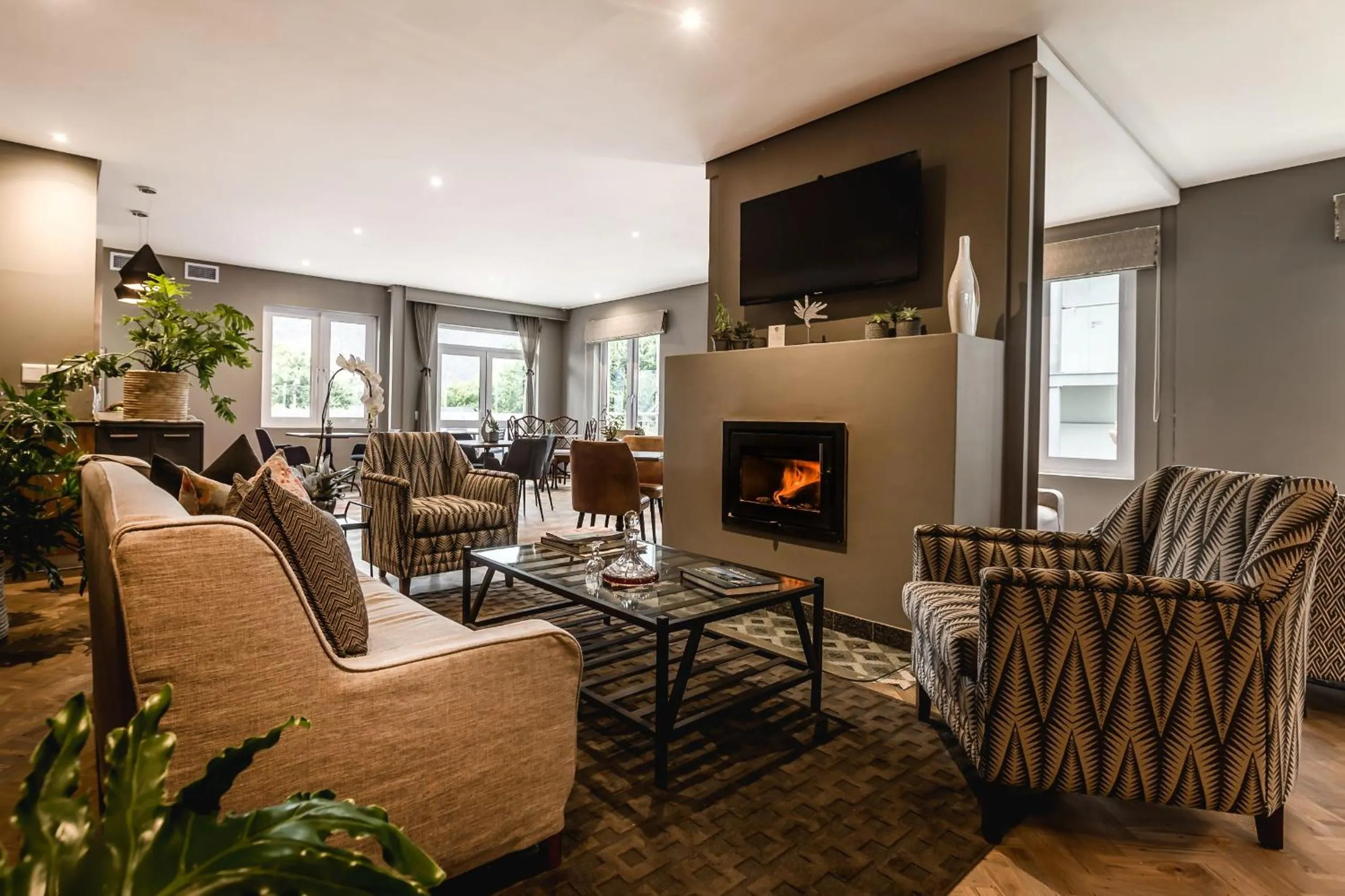 Communal lounge/ TV room in Franschhoek Boutique Hotel - Lion Roars Hotels & Lodges
