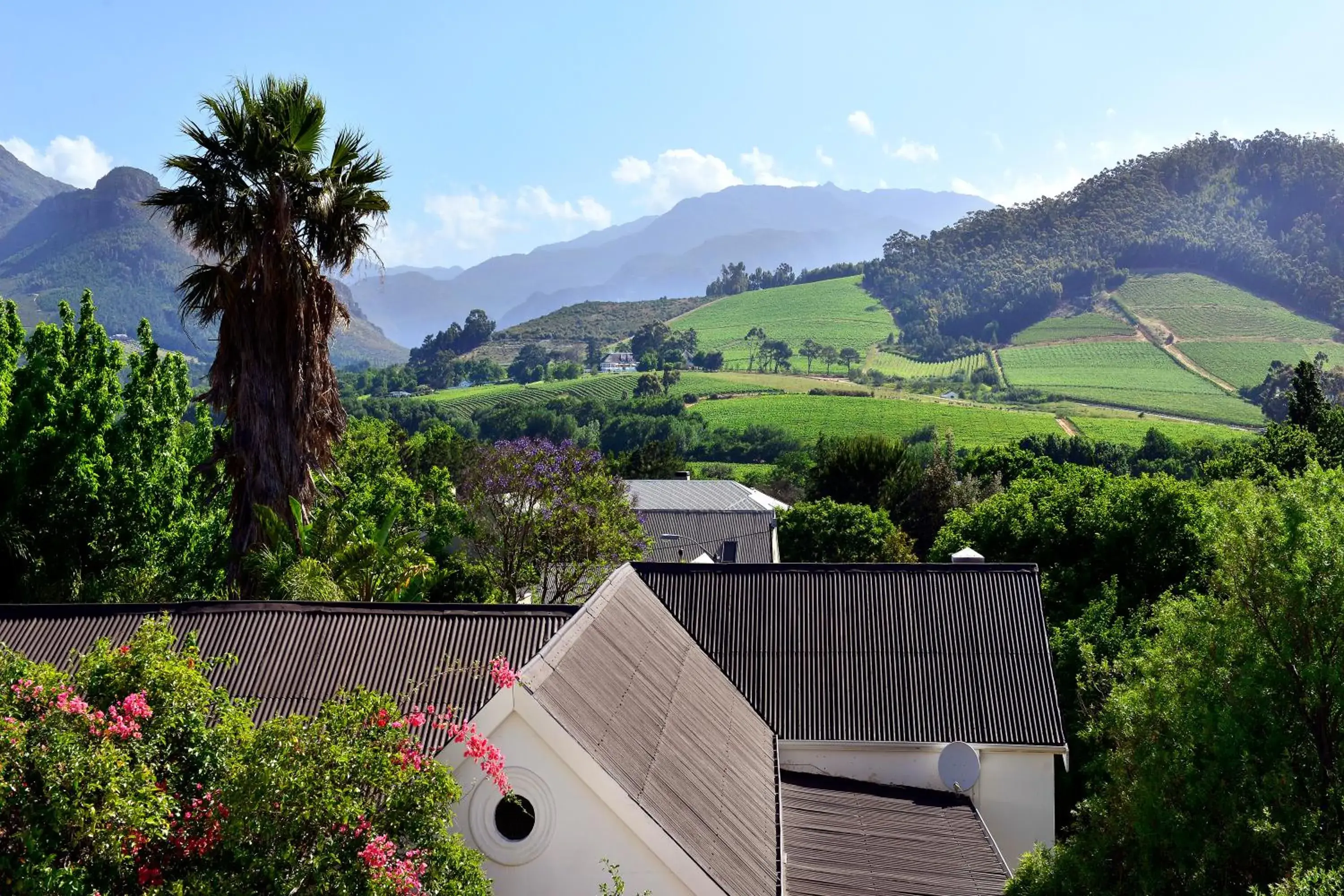 Luxury King or Twin Room with Mountain View in Franschhoek Boutique Hotel - Lion Roars Hotels & Lodges Luxury King or Twin Room with Mountain View in Franschhoek Boutique Hotel - Lion Roars Hotels & Lodges