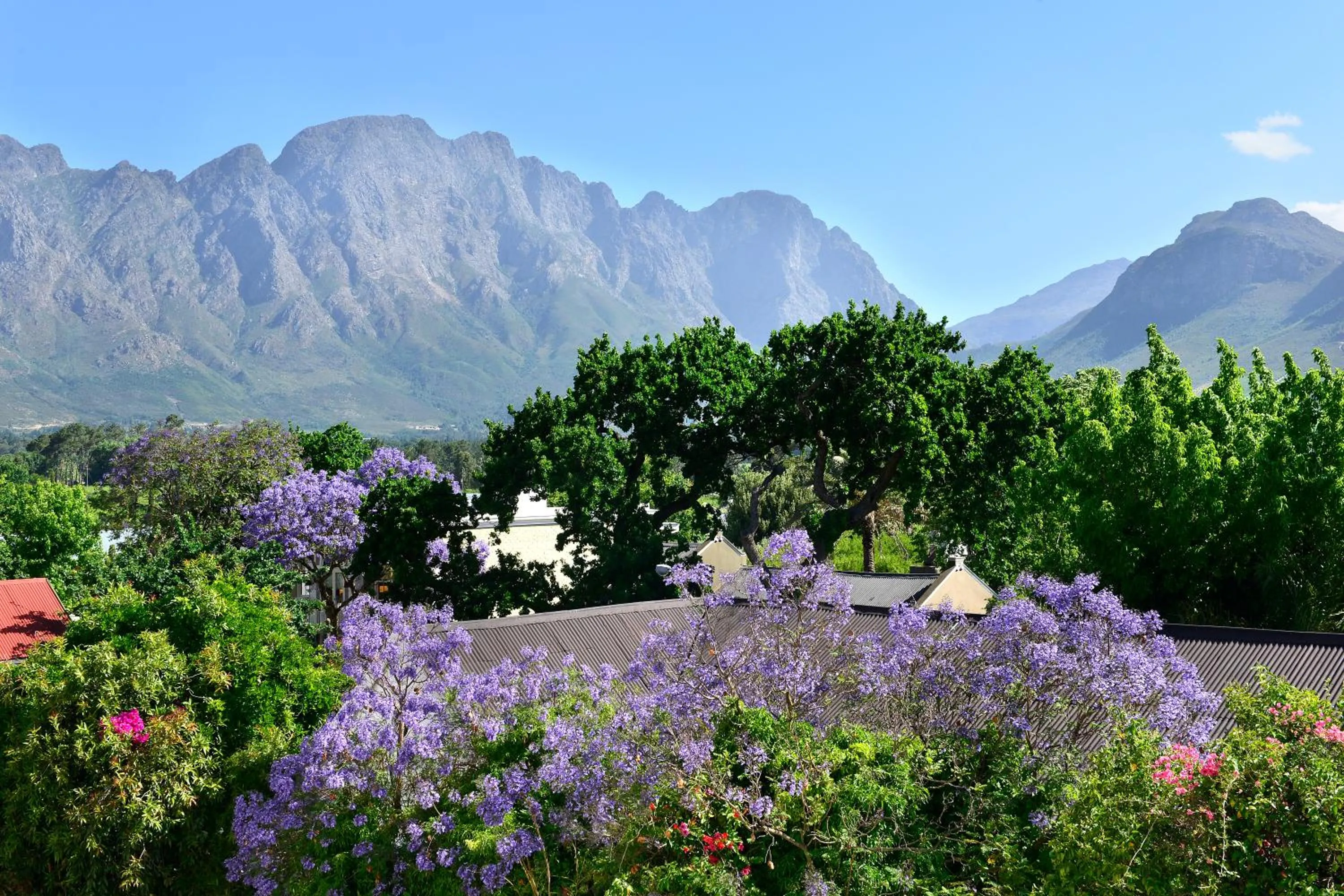 Mountain view in Franschhoek Boutique Hotel - Lion Roars Hotels & Lodges