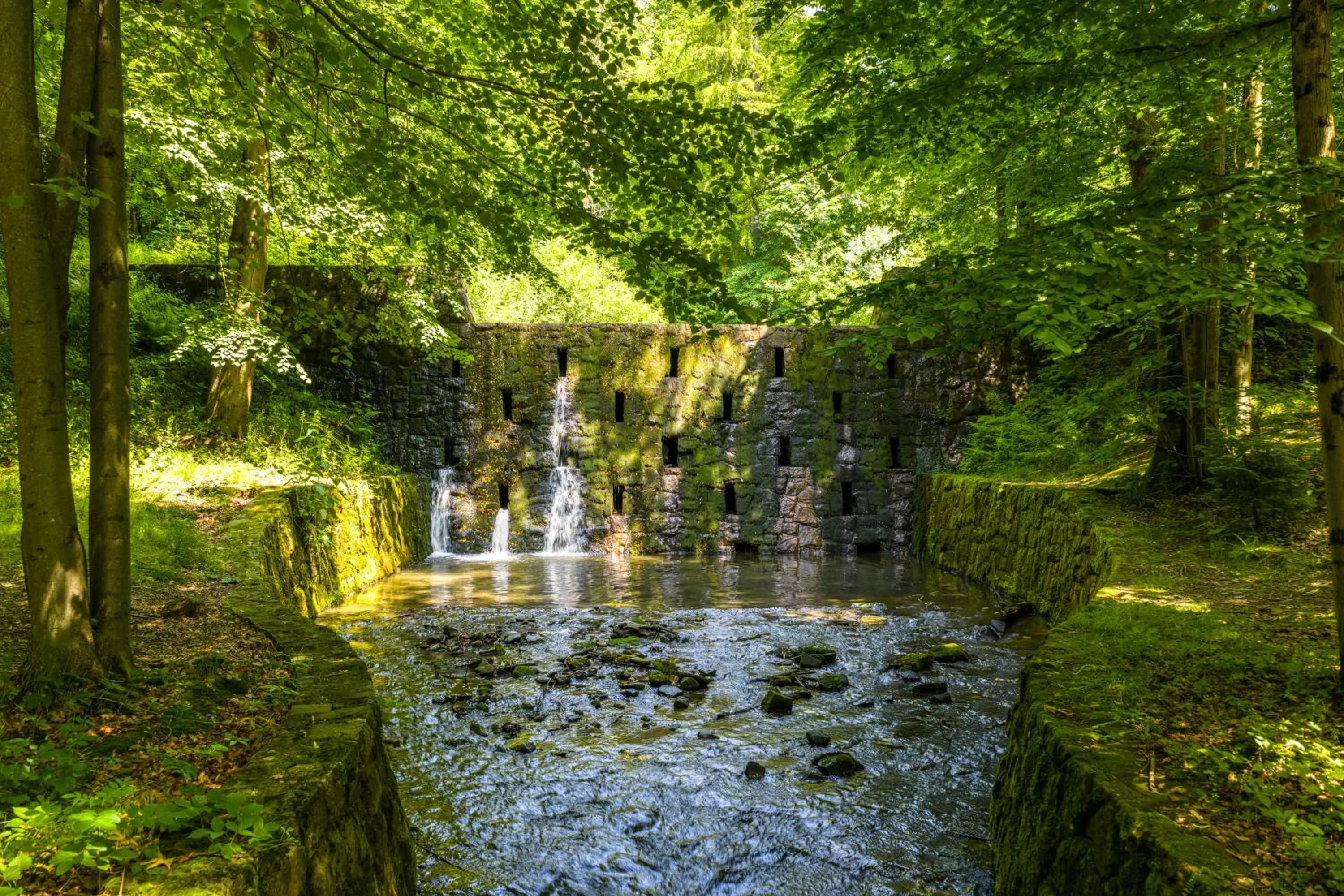 Natural landscape in Diuna Beskidy Ustroń - dawny Kolejarz
