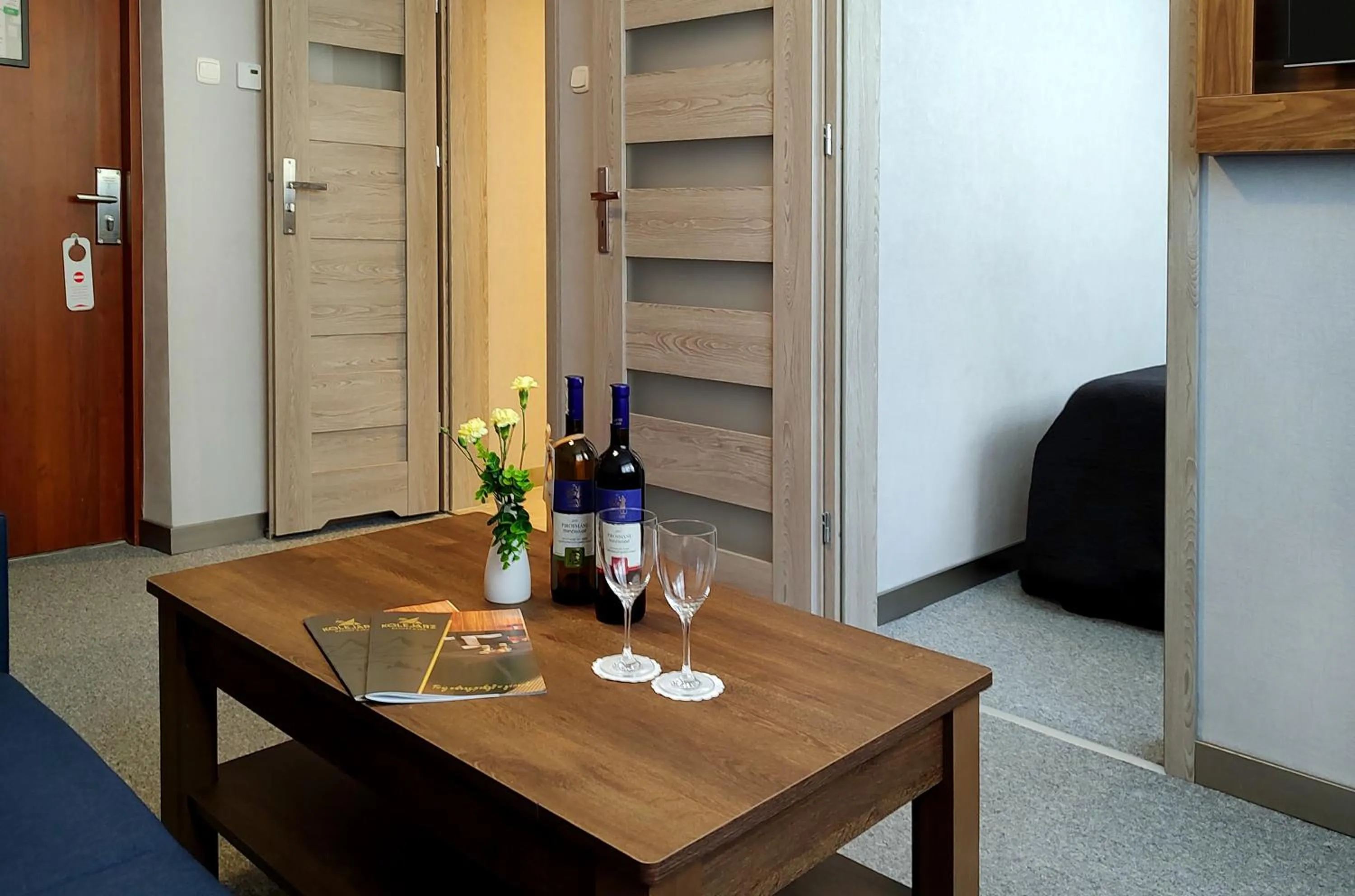 TV and multimedia in Diuna Beskidy Ustroń - dawny Kolejarz