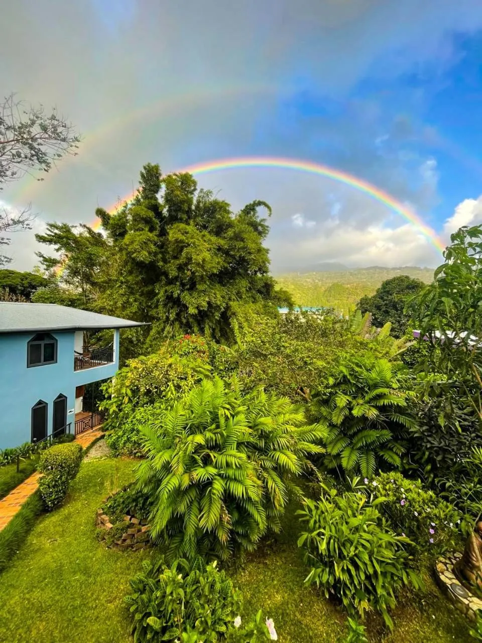 Garden in Hotel Isla Verde