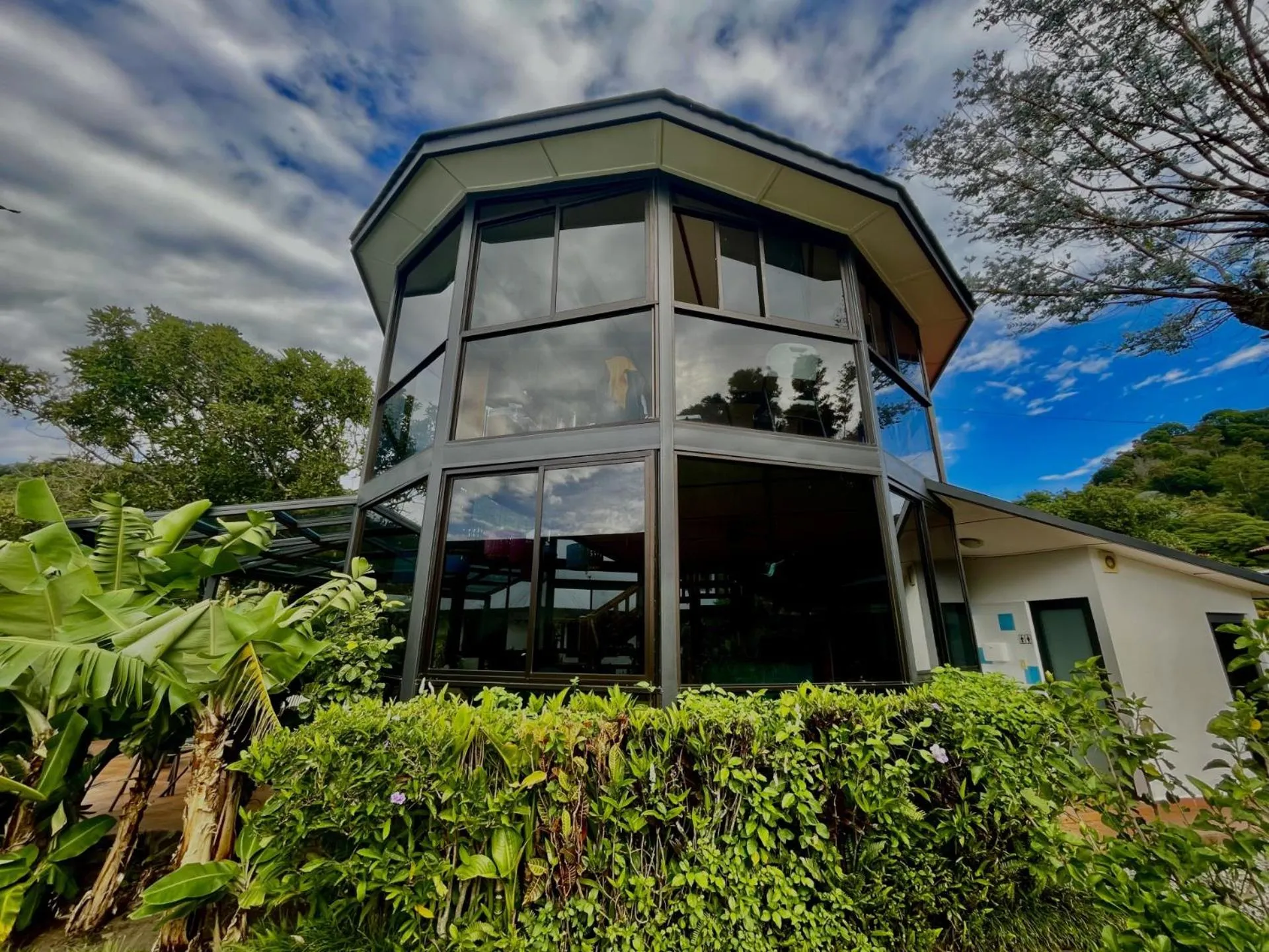 Garden in Hotel Isla Verde
