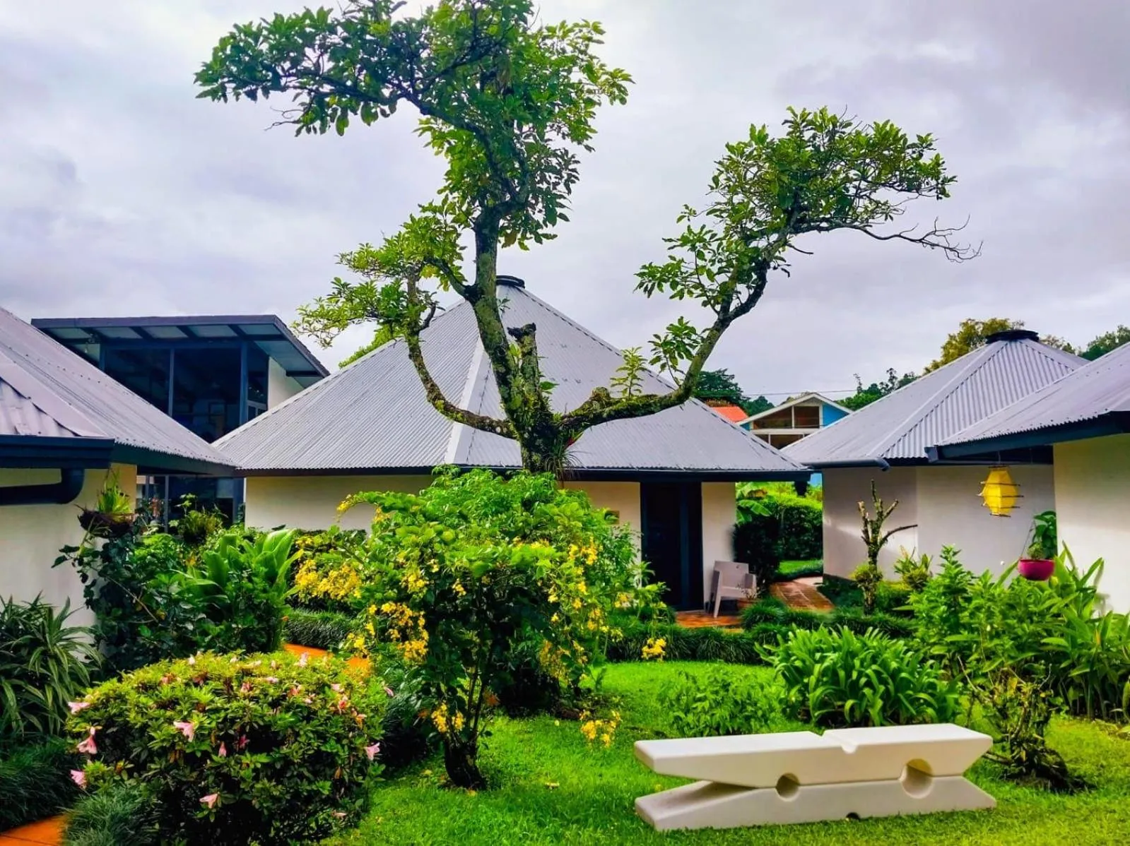 Garden in Hotel Isla Verde
