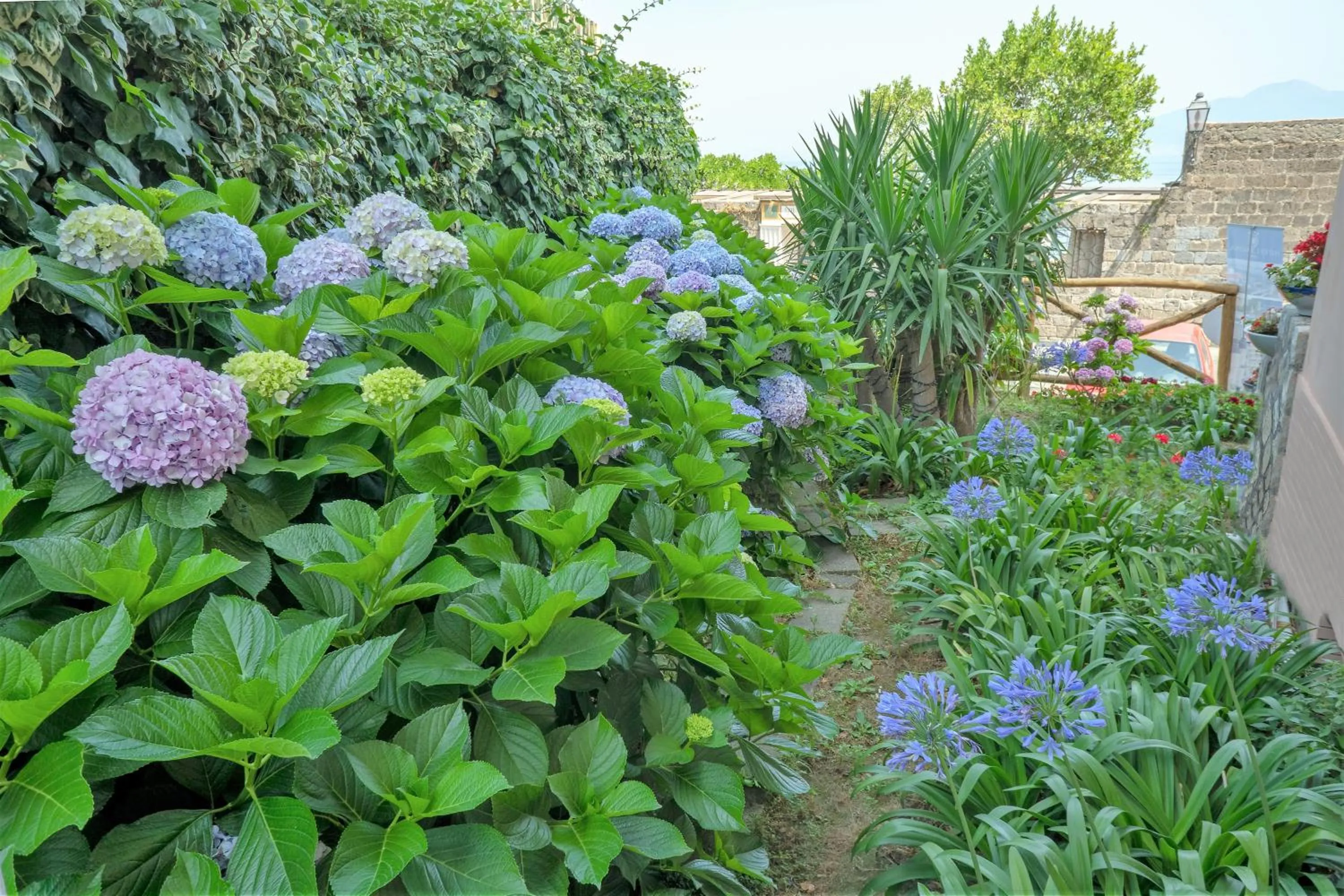 Garden in Boutique Hotel Regina