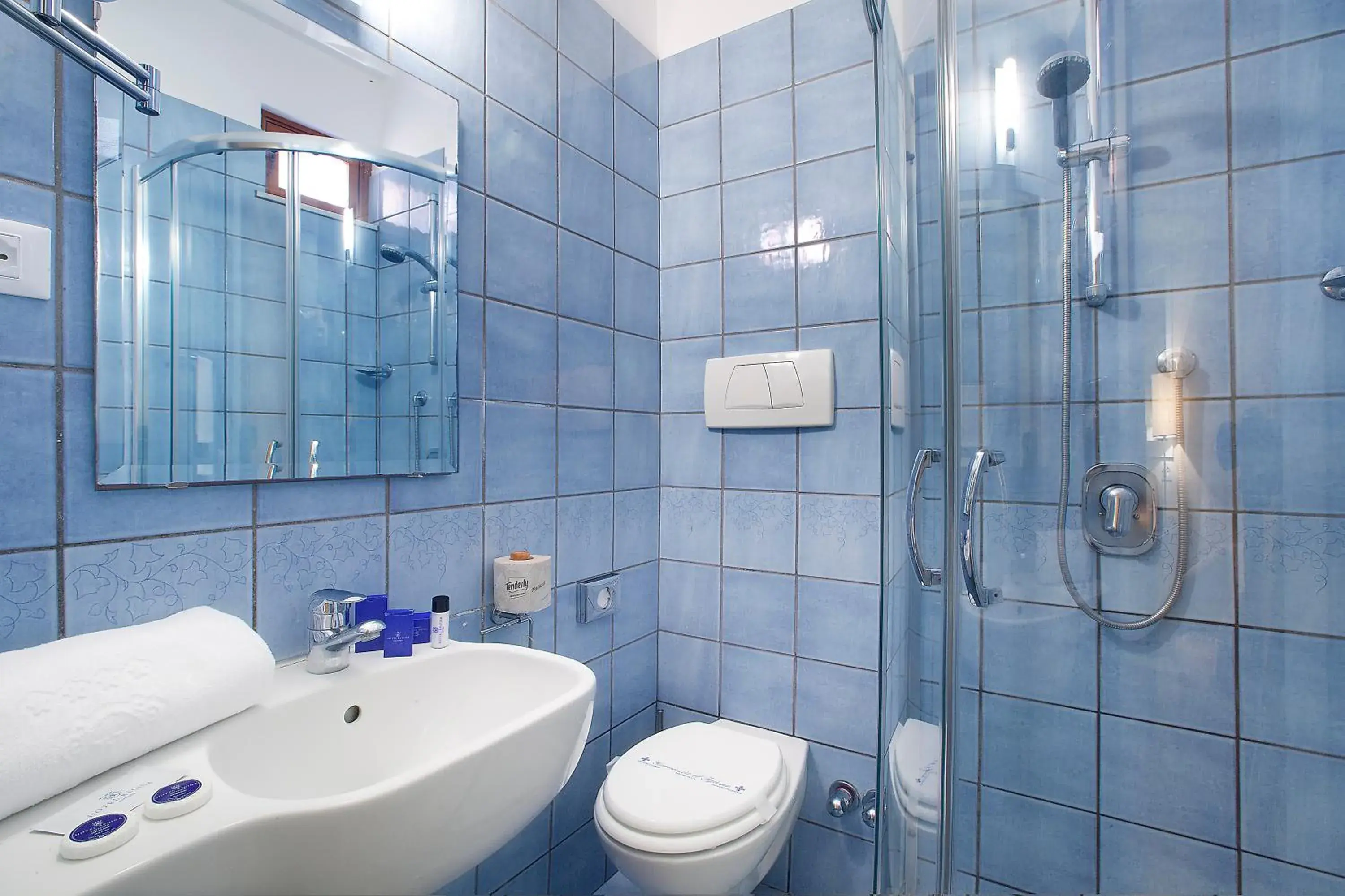 Single Room in Boutique Hotel Regina Single Room in Boutique Hotel Regina