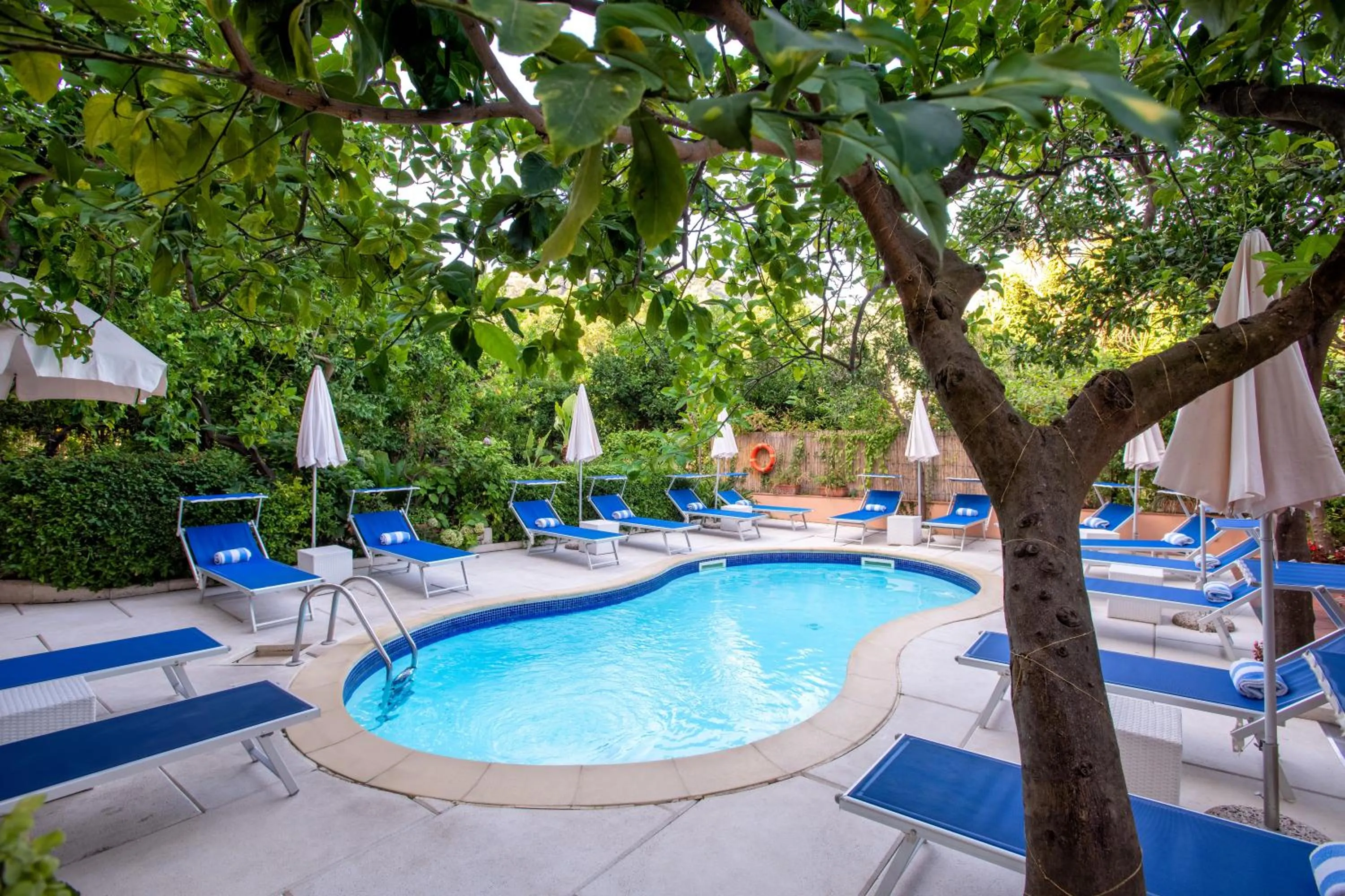 Swimming pool in Boutique Hotel Regina