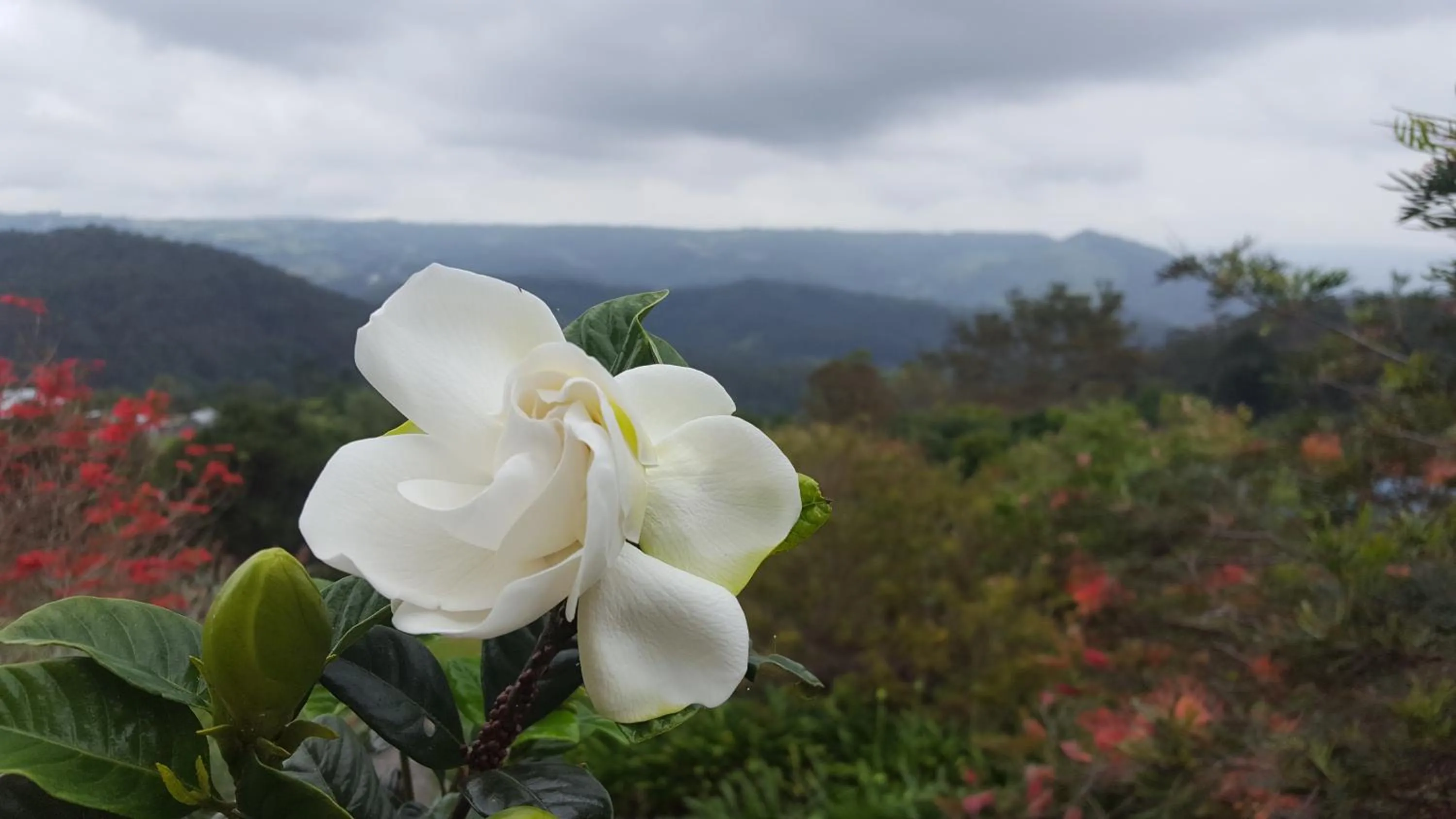 Natural landscape in Blue Summit Cottages