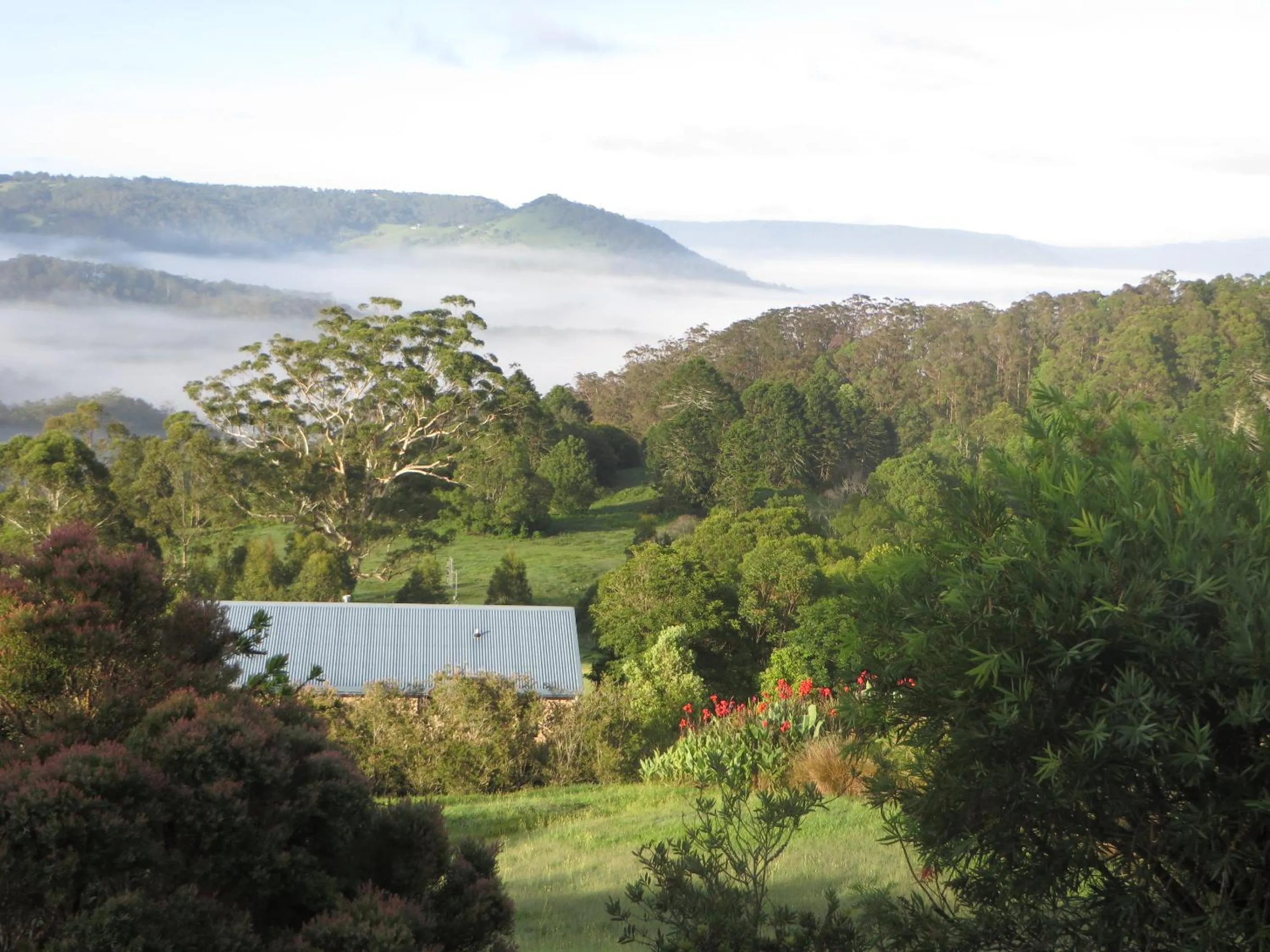 Natural landscape in Blue Summit Cottages