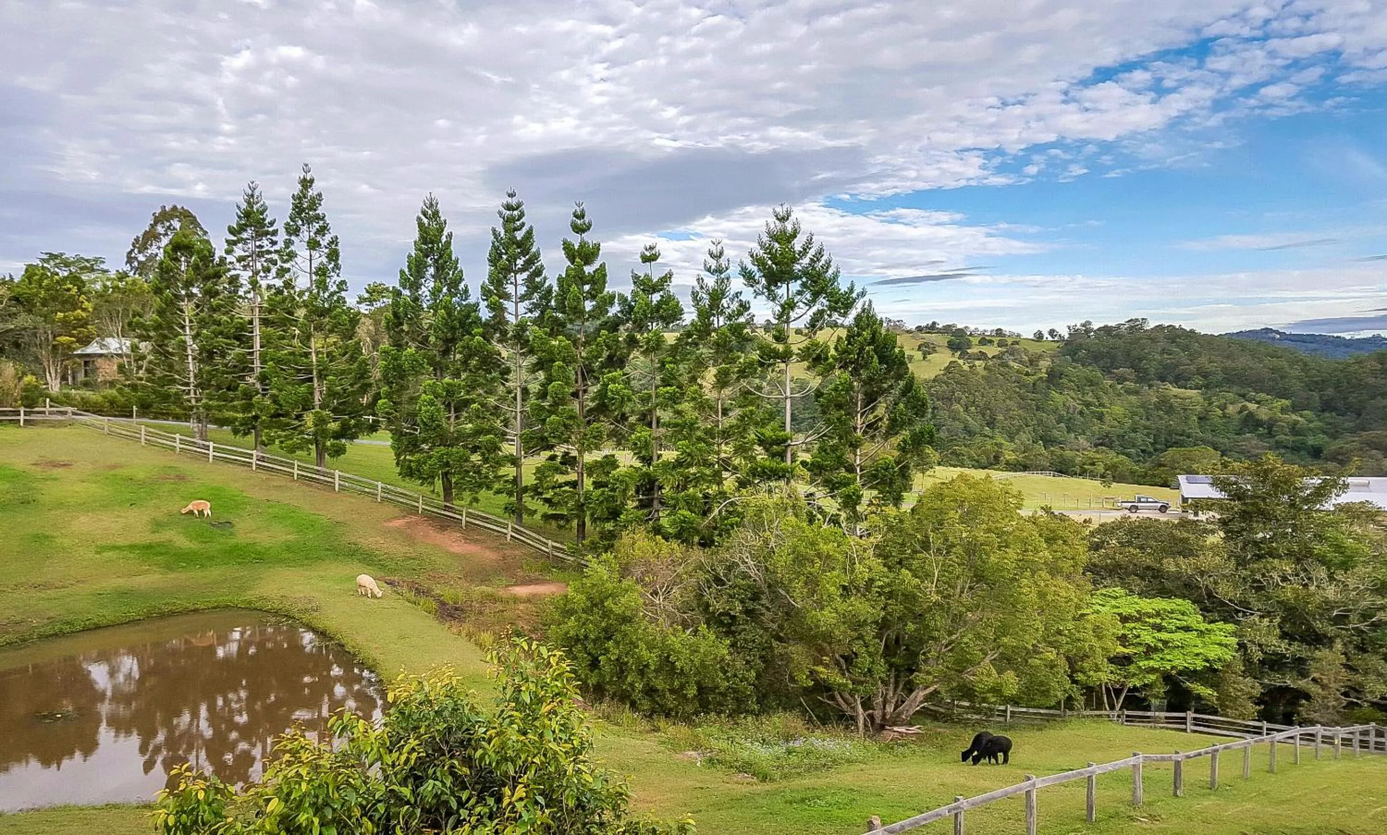 Natural landscape in Blue Summit Cottages
