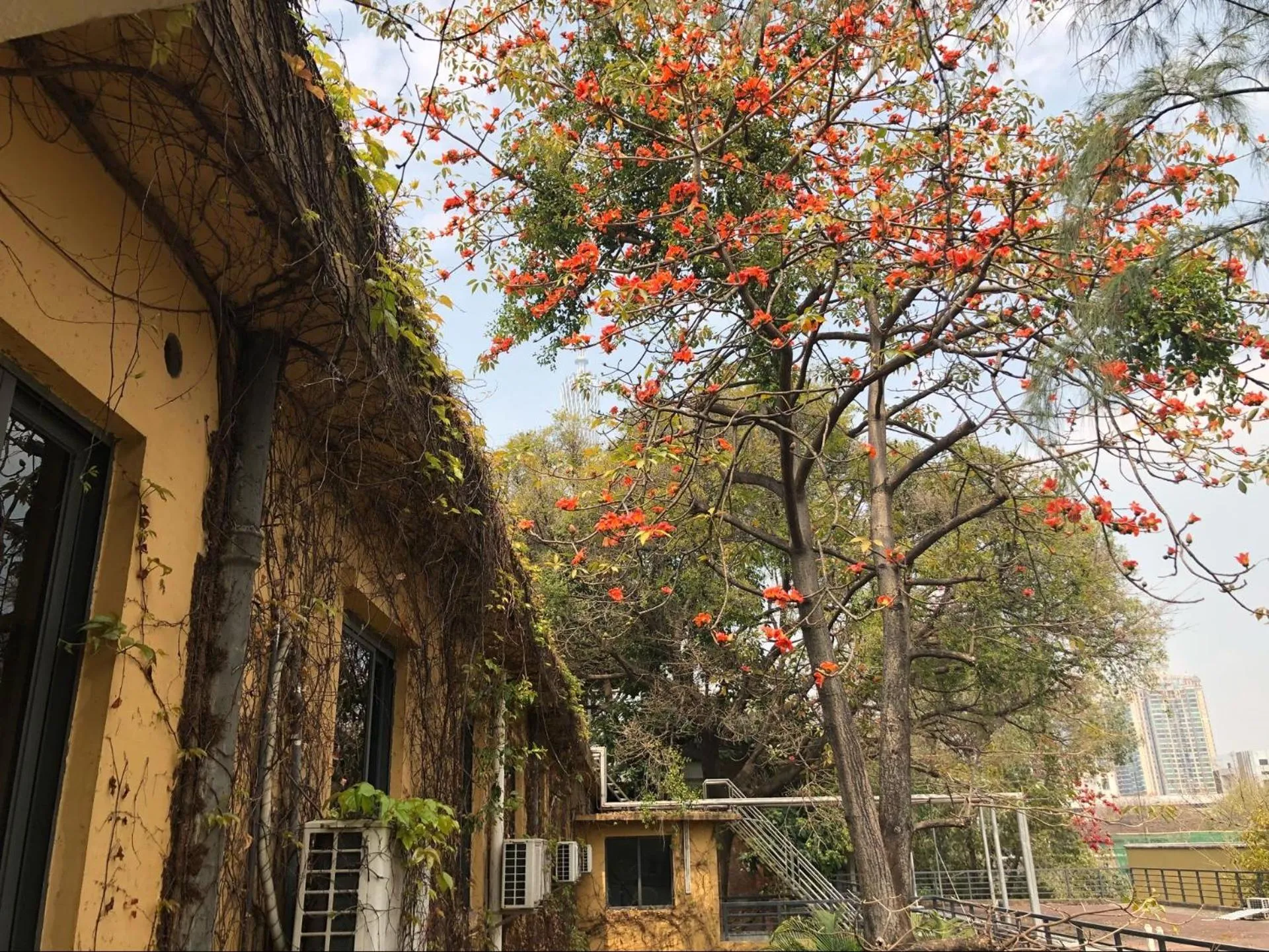 Property building in Guangzhou Fangyuan Hotel
