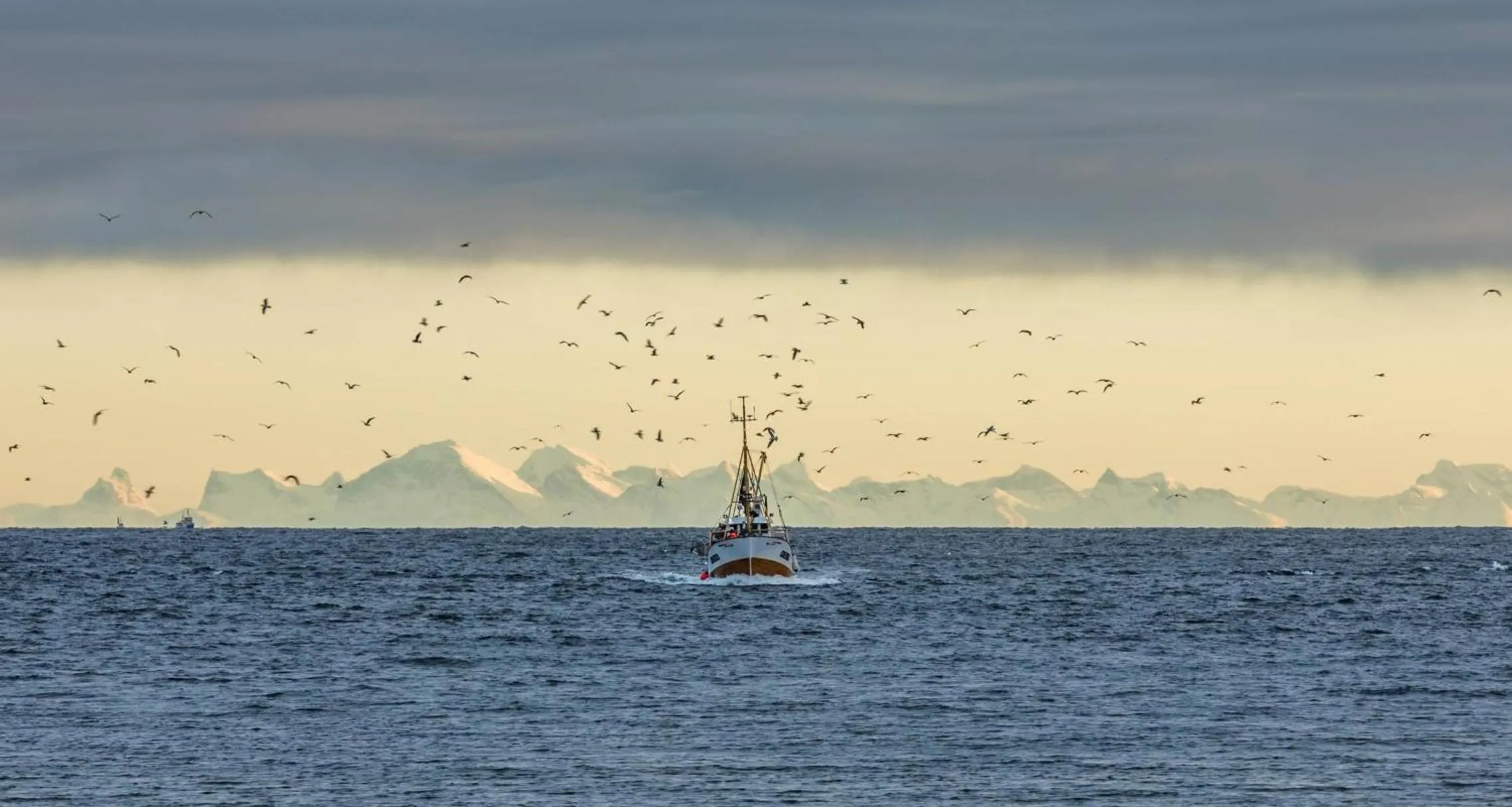 Activities in Henningsvær Guesthouse