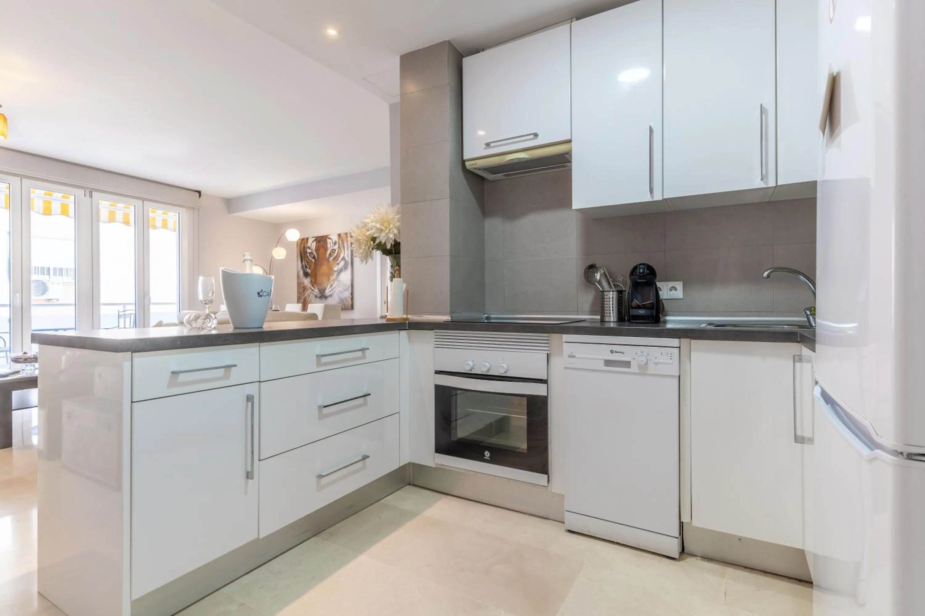 Kitchen or kitchenette in Apartamentos Castillo by Sur Suites