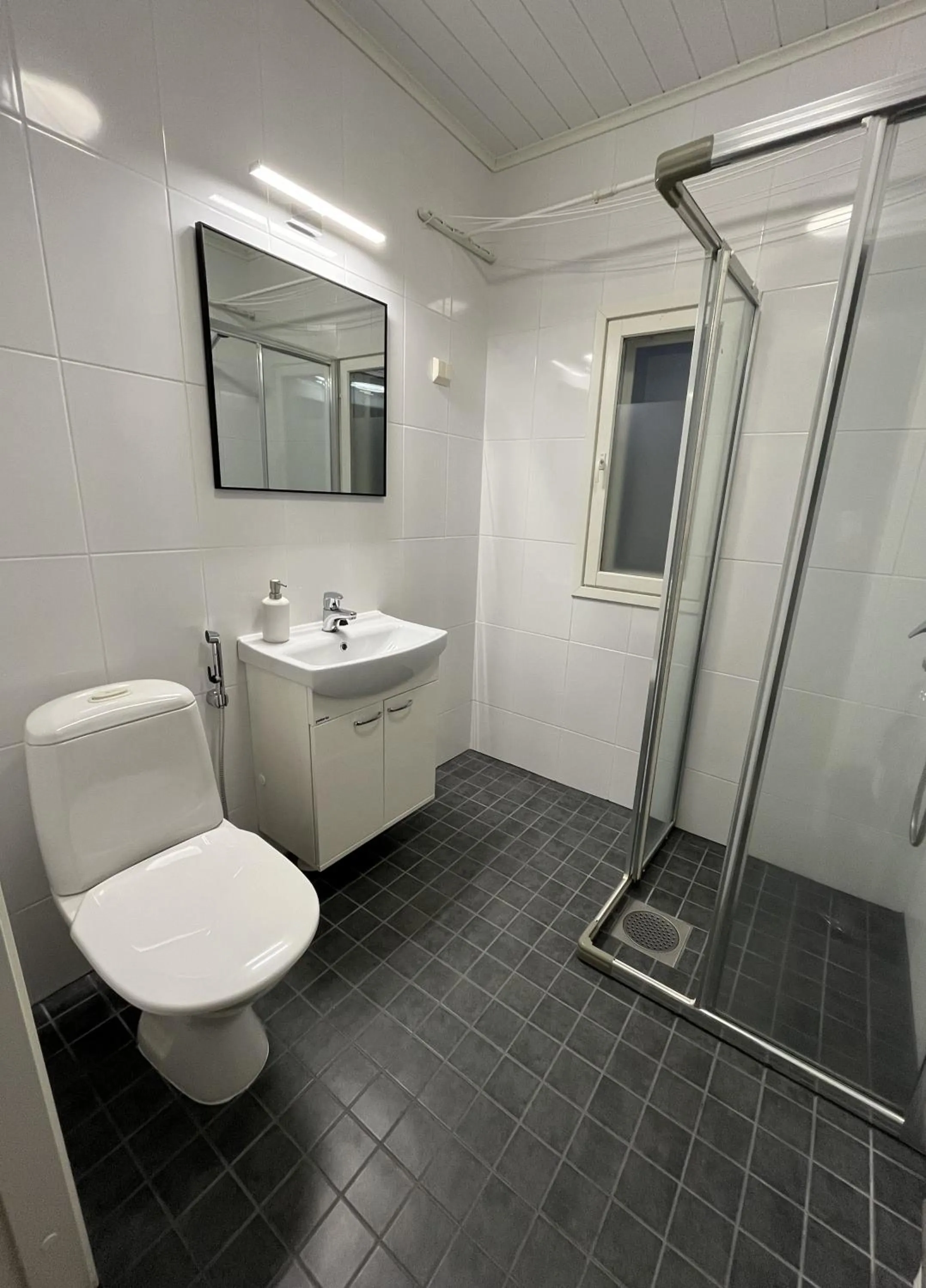 Toilet in Hotelli Kontio