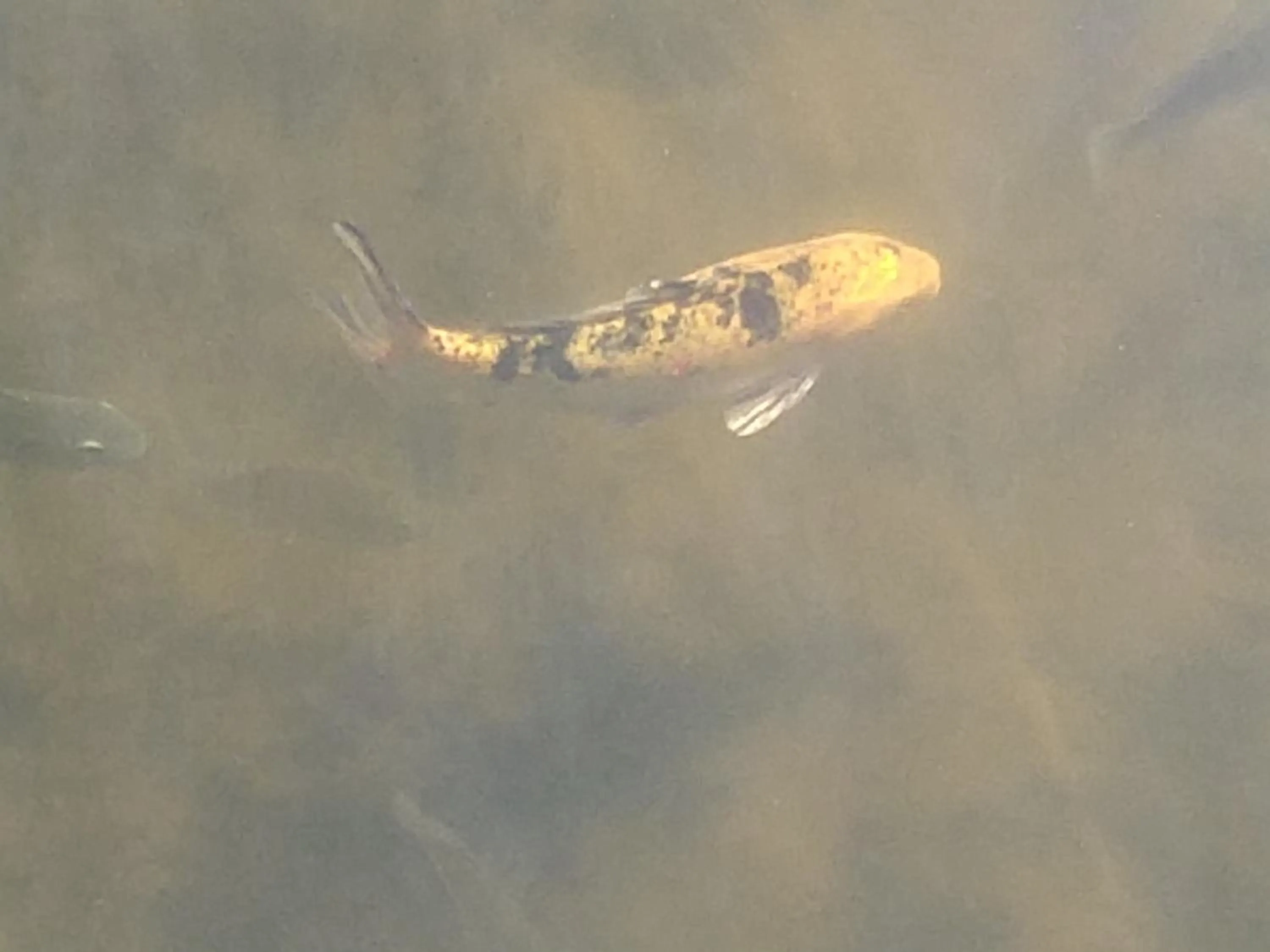 Lake view in Pousada Silvestre