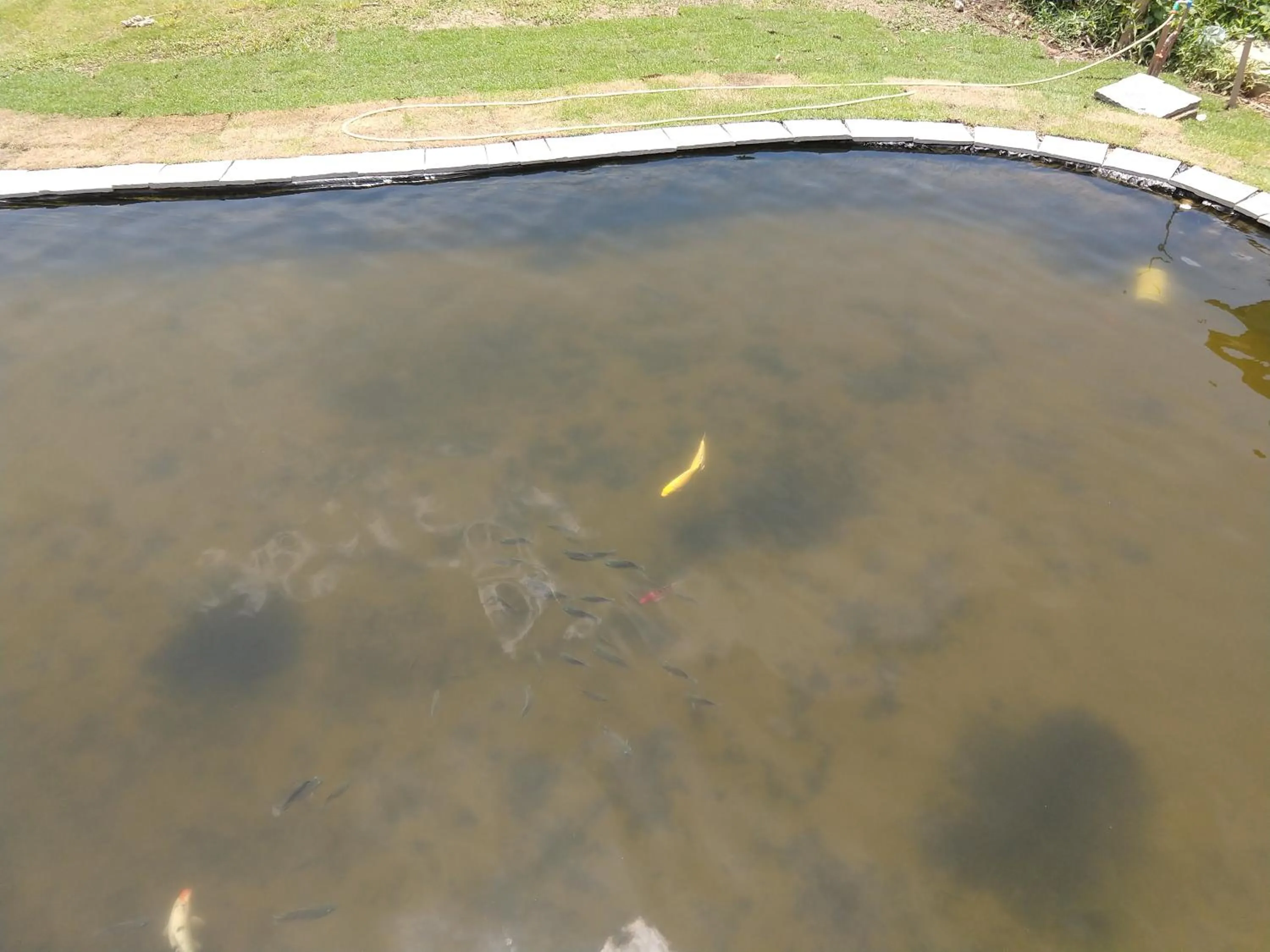 Lake view in Pousada Silvestre