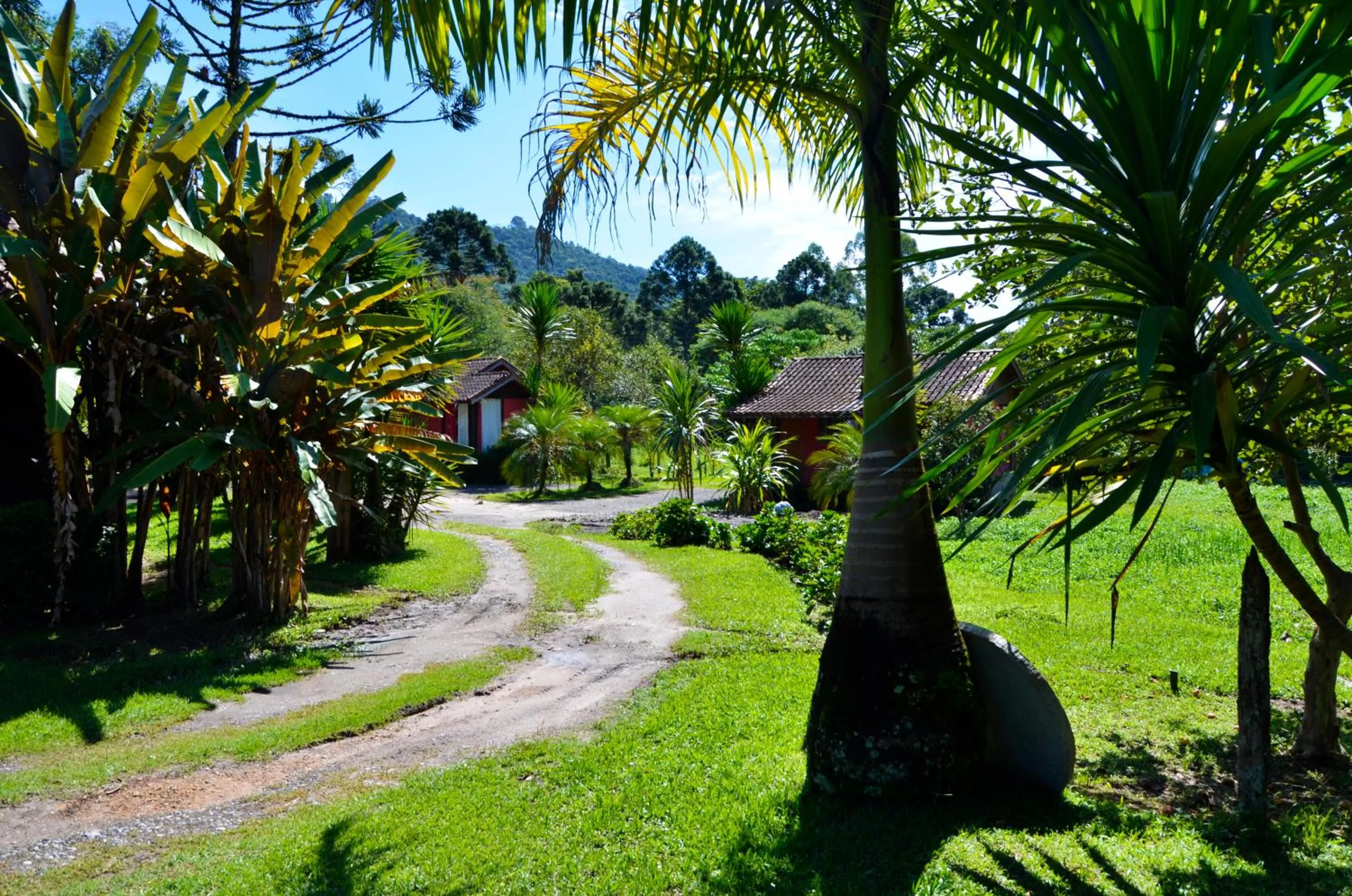 Garden view in Pousada Silvestre