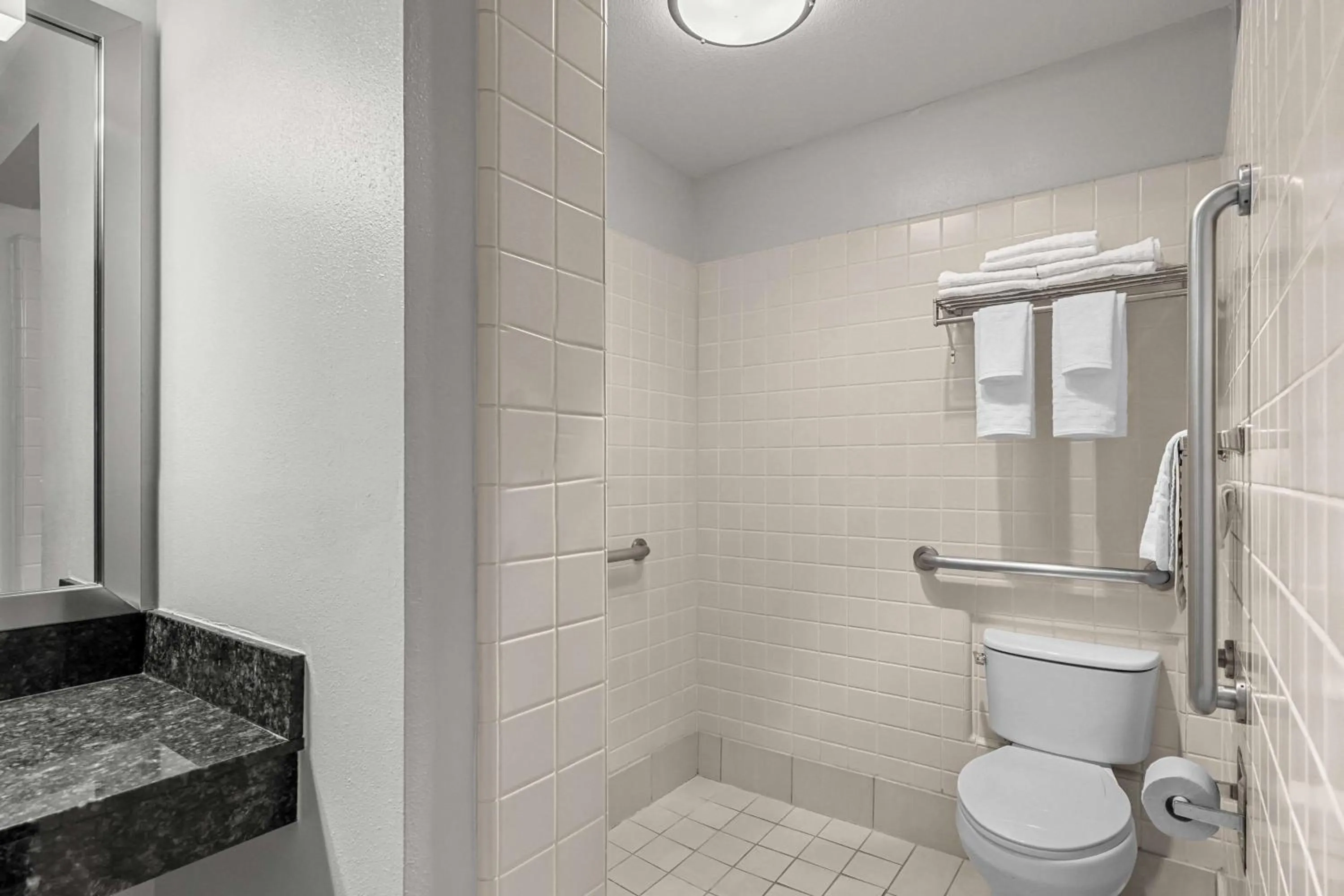 Bathroom in Best Western Horizon Inn