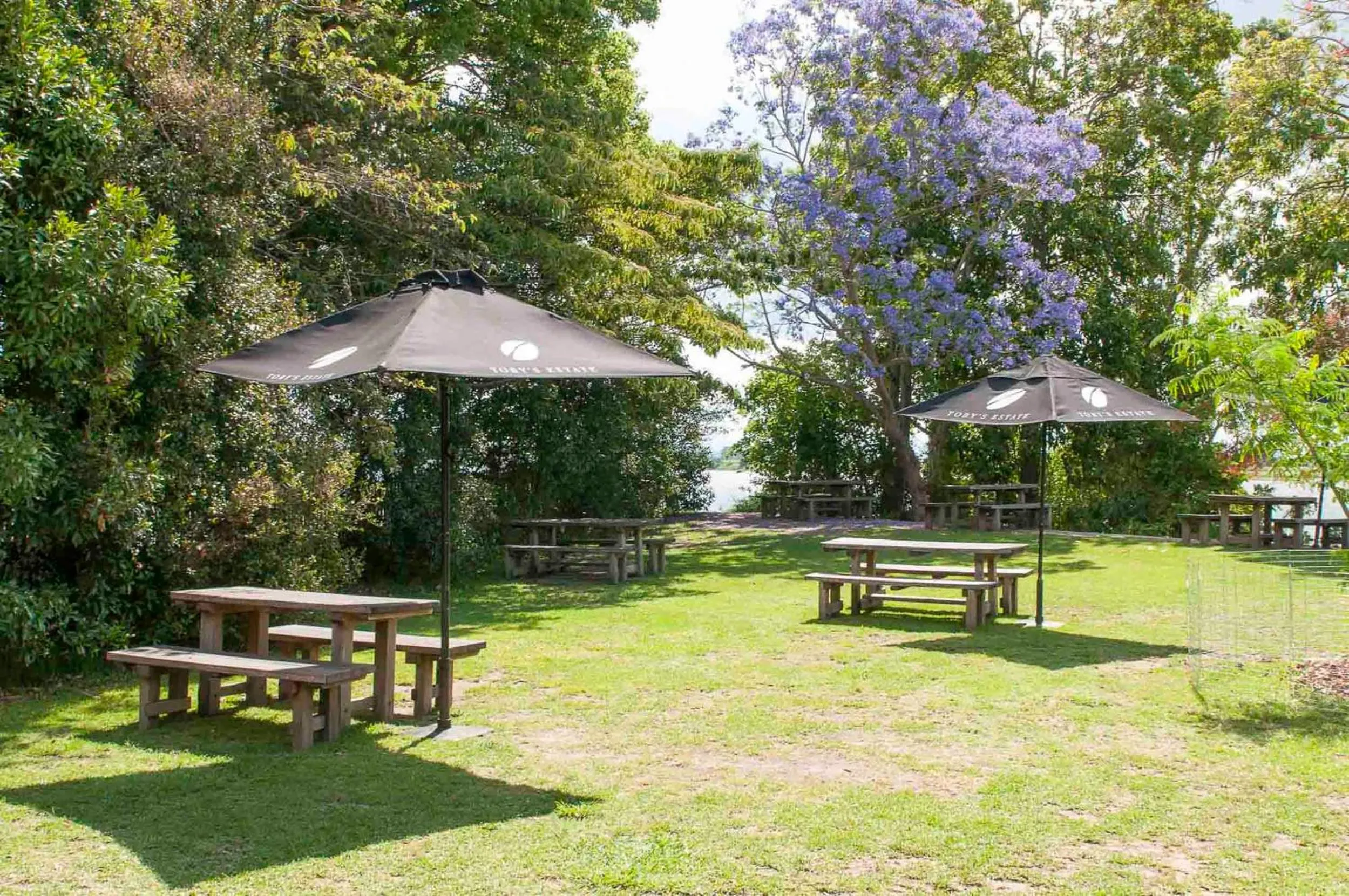 Area and facilities in Ulmarra Hotel