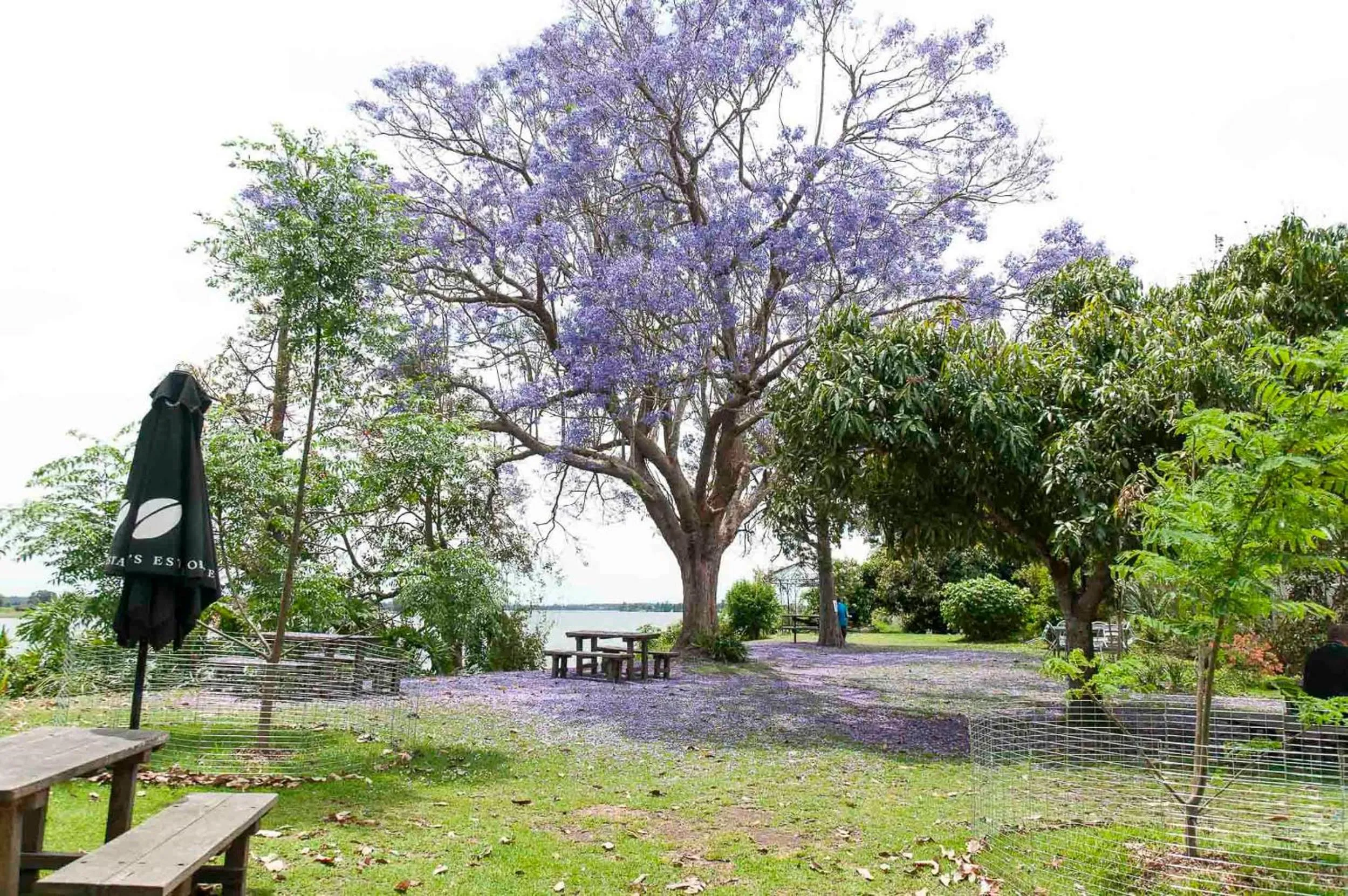 Area and facilities in Ulmarra Hotel