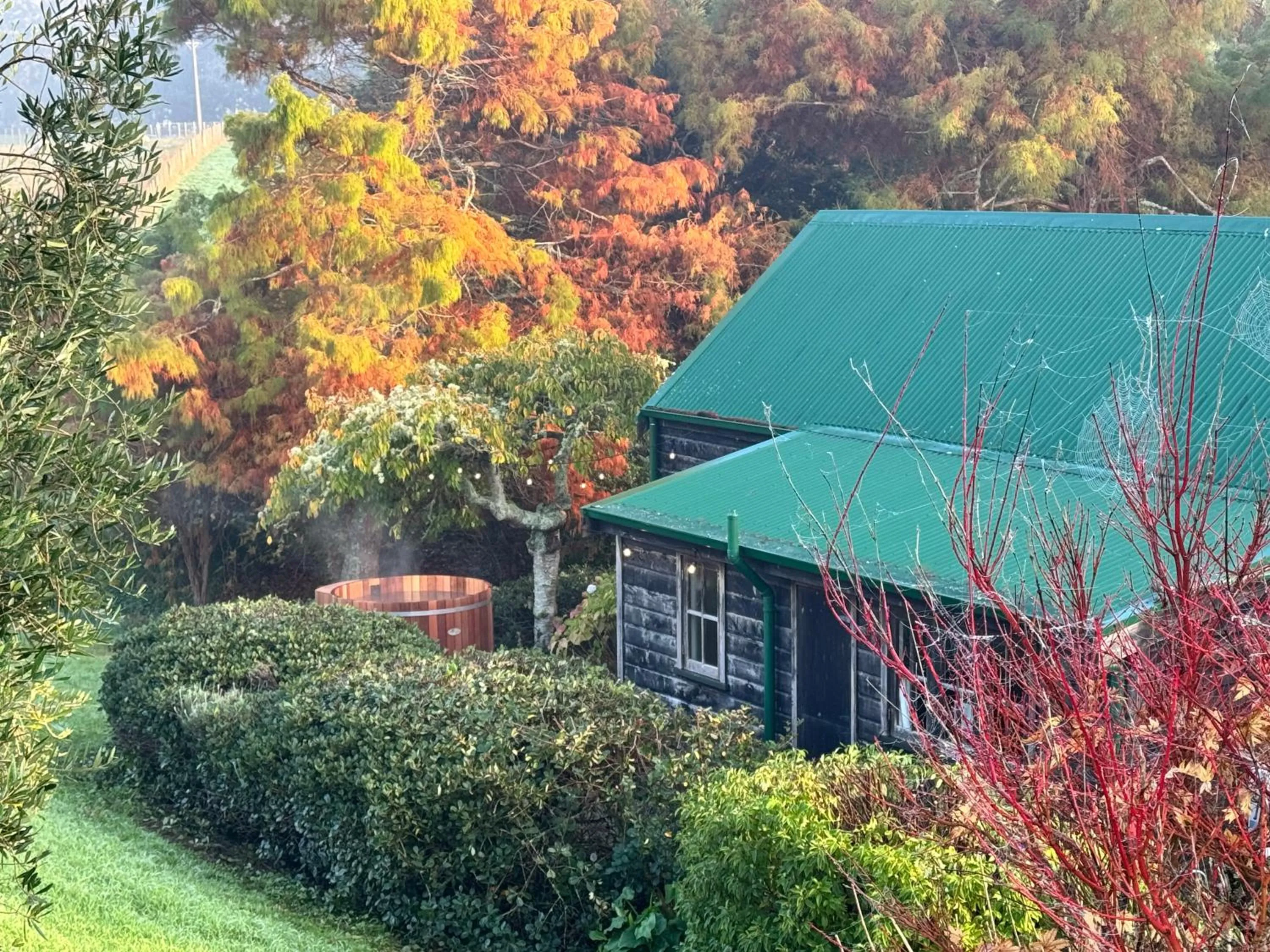 Vineyard Cottages - Kumeu