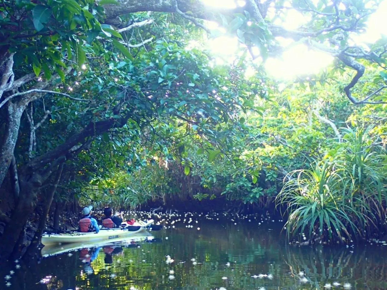 Activities in Villa Unarizaki