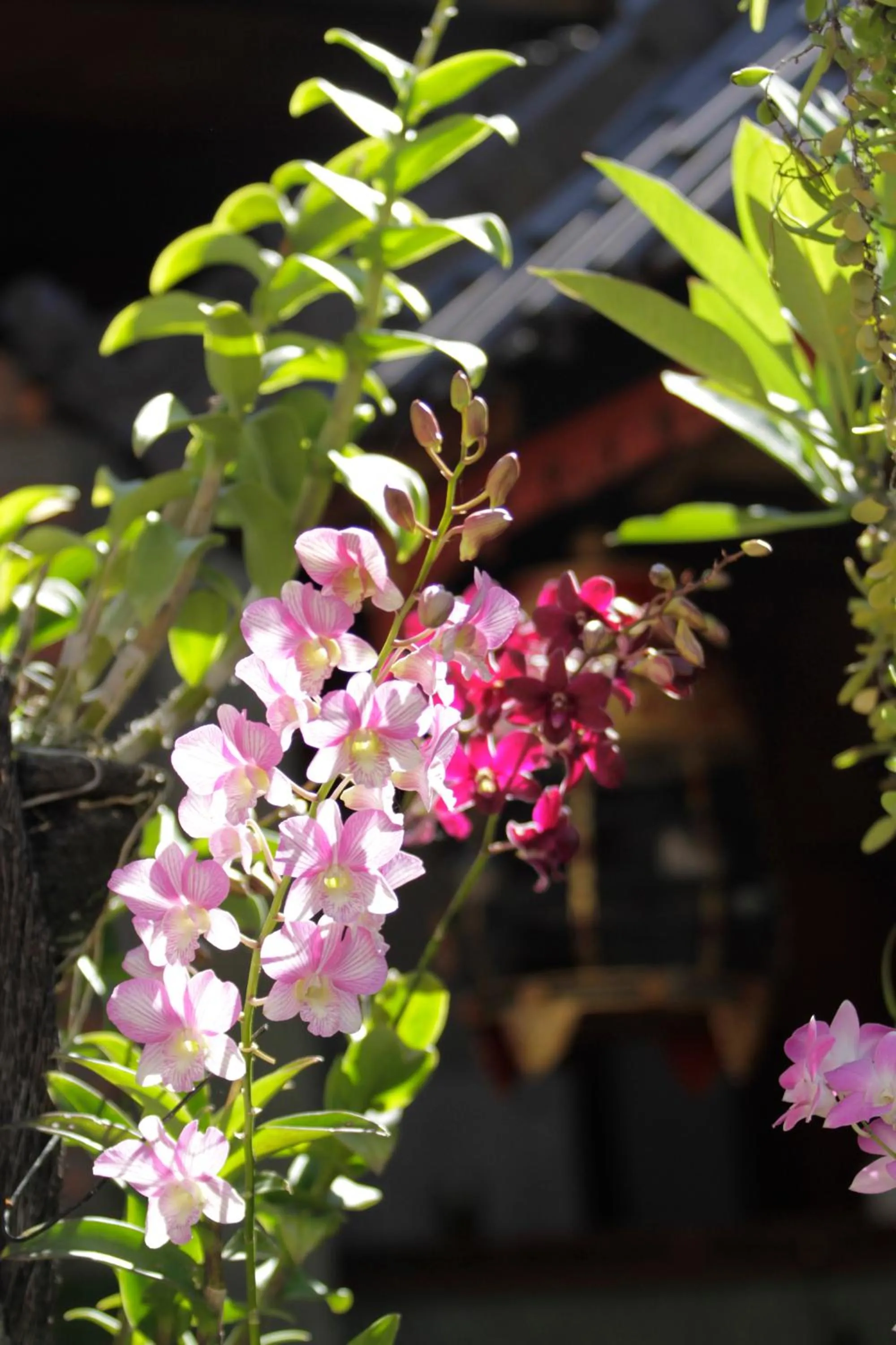 Decorative detail in Lowcost Bed & Breakfast