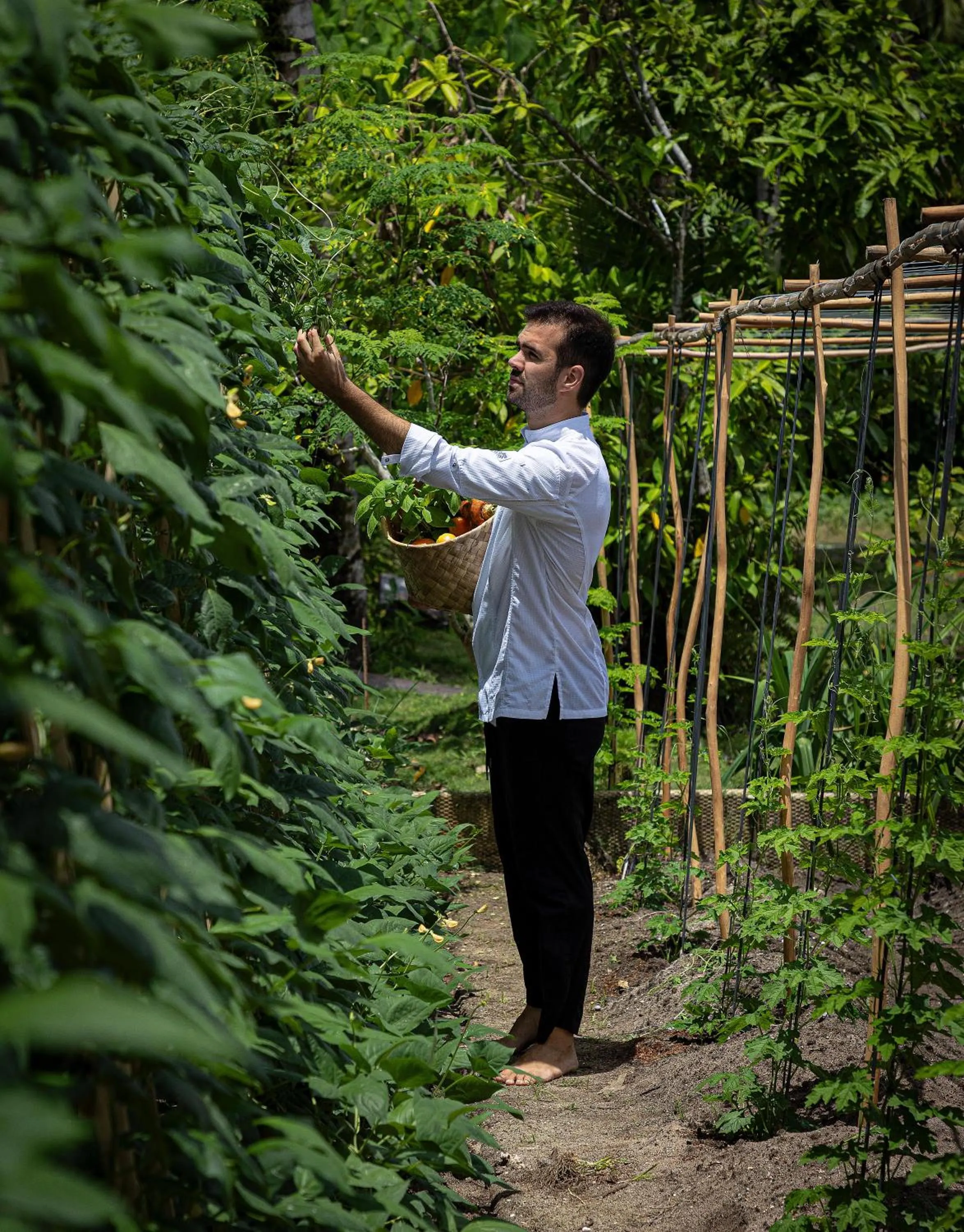 Other in Nay Palad Hideaway - All Inclusive Stay