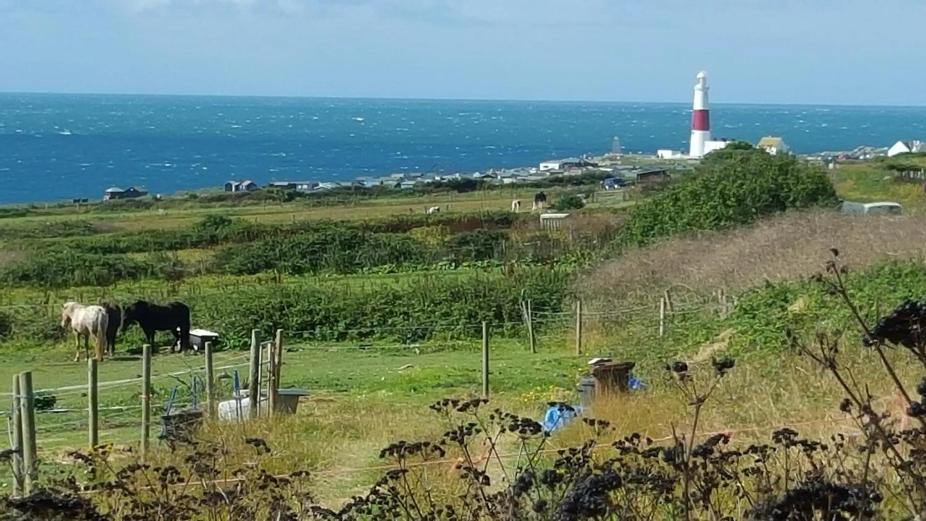 Area and facilities in Heights Hotel