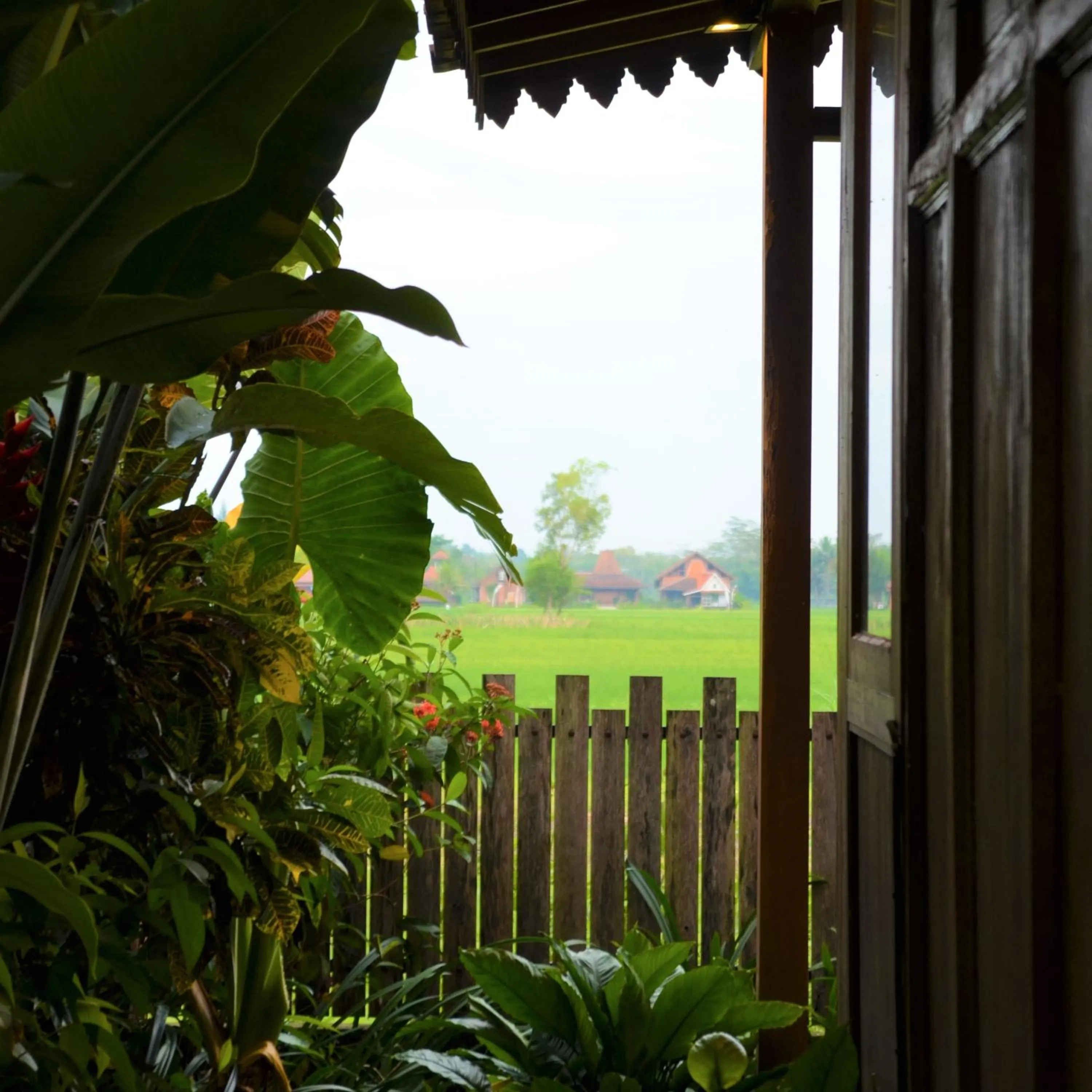 Garden view in The Amrta Borobudur