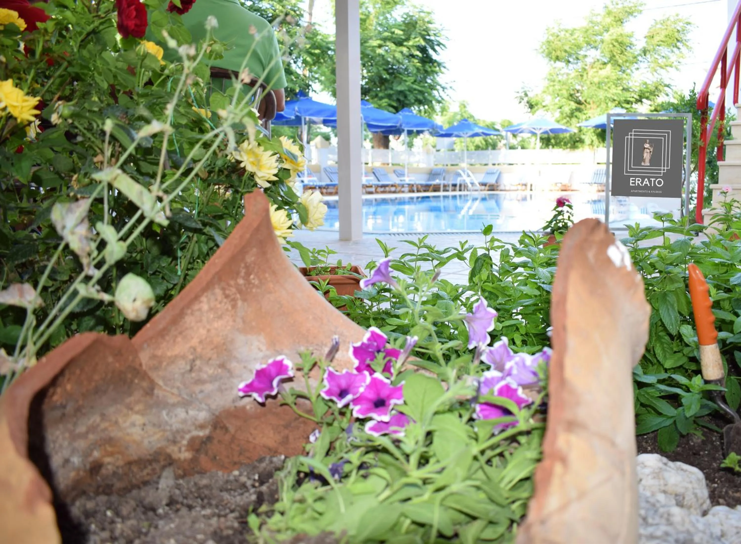 Property building in Erato Studios & Apartments