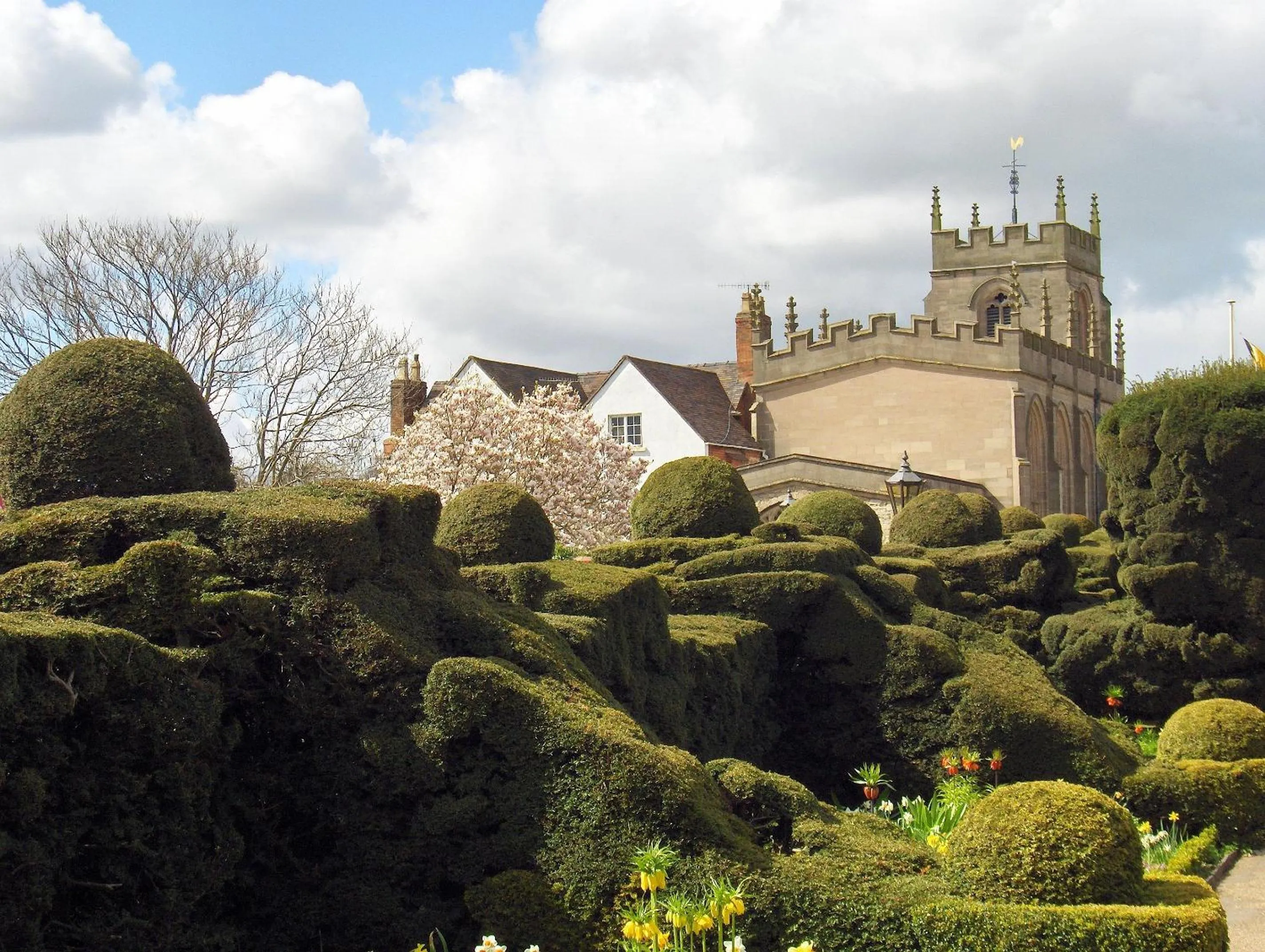 Area and facilities in The New Inn Hotel