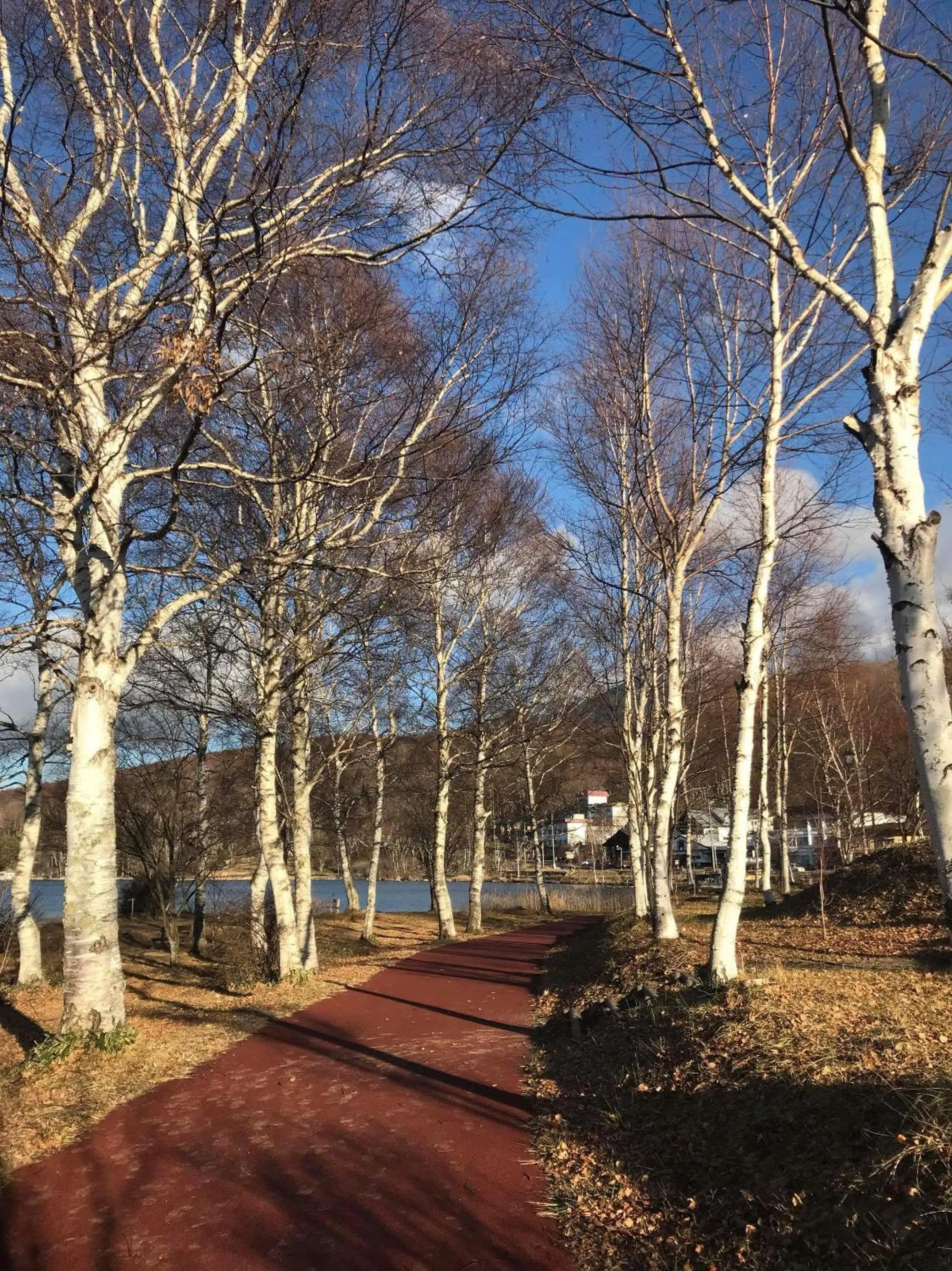 Off site in Hütte Jil Shirakabako at 1,400m