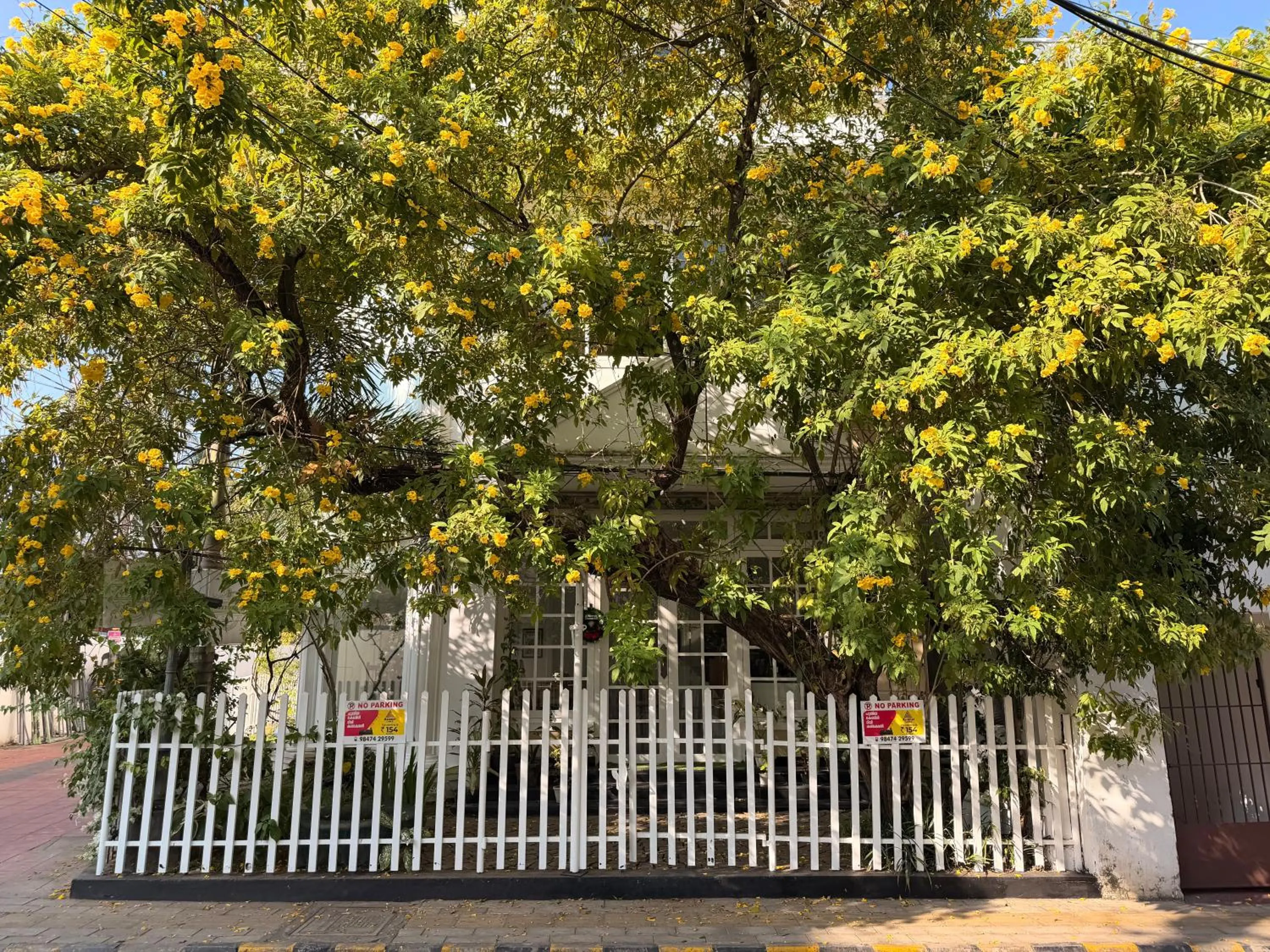 Property building in Daffodils Spice Court