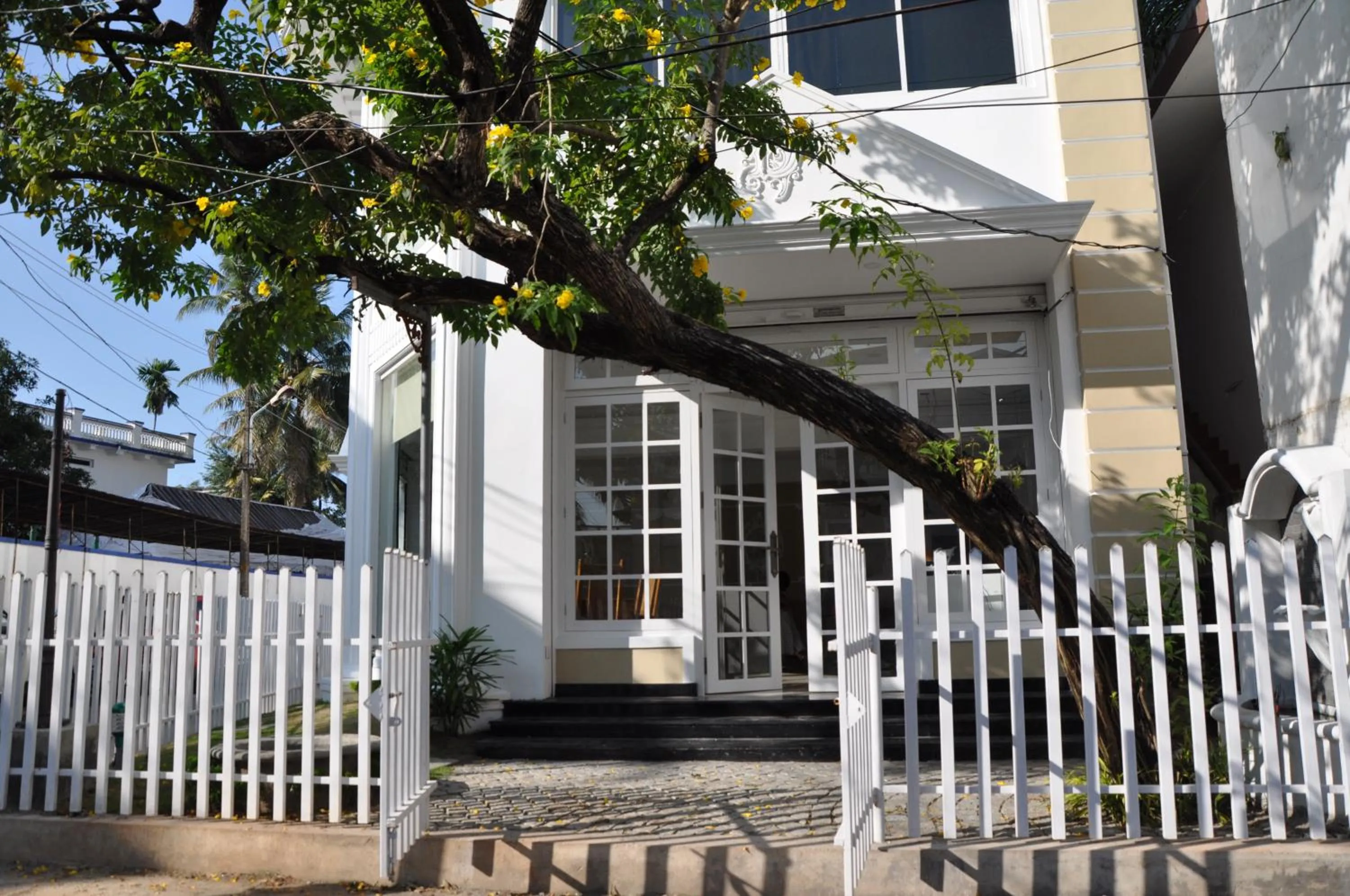 Day in Daffodils Spice Court