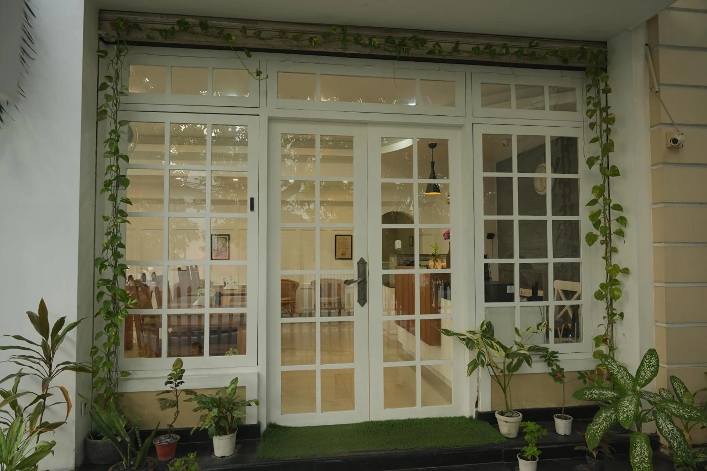 Daffodils Spice Court