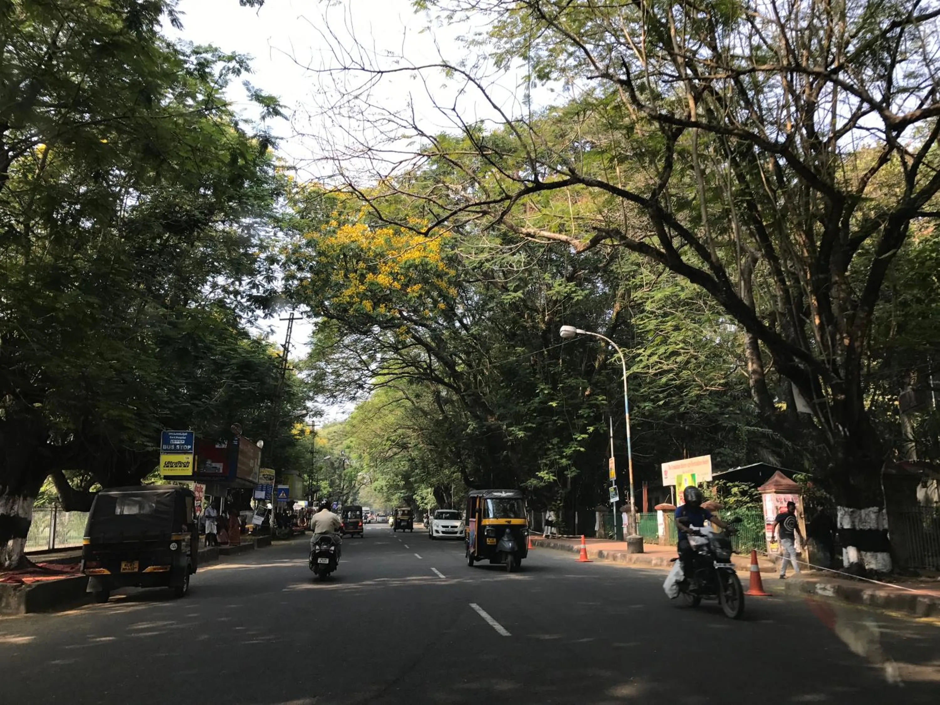 Property building in Daffodils Spice Court