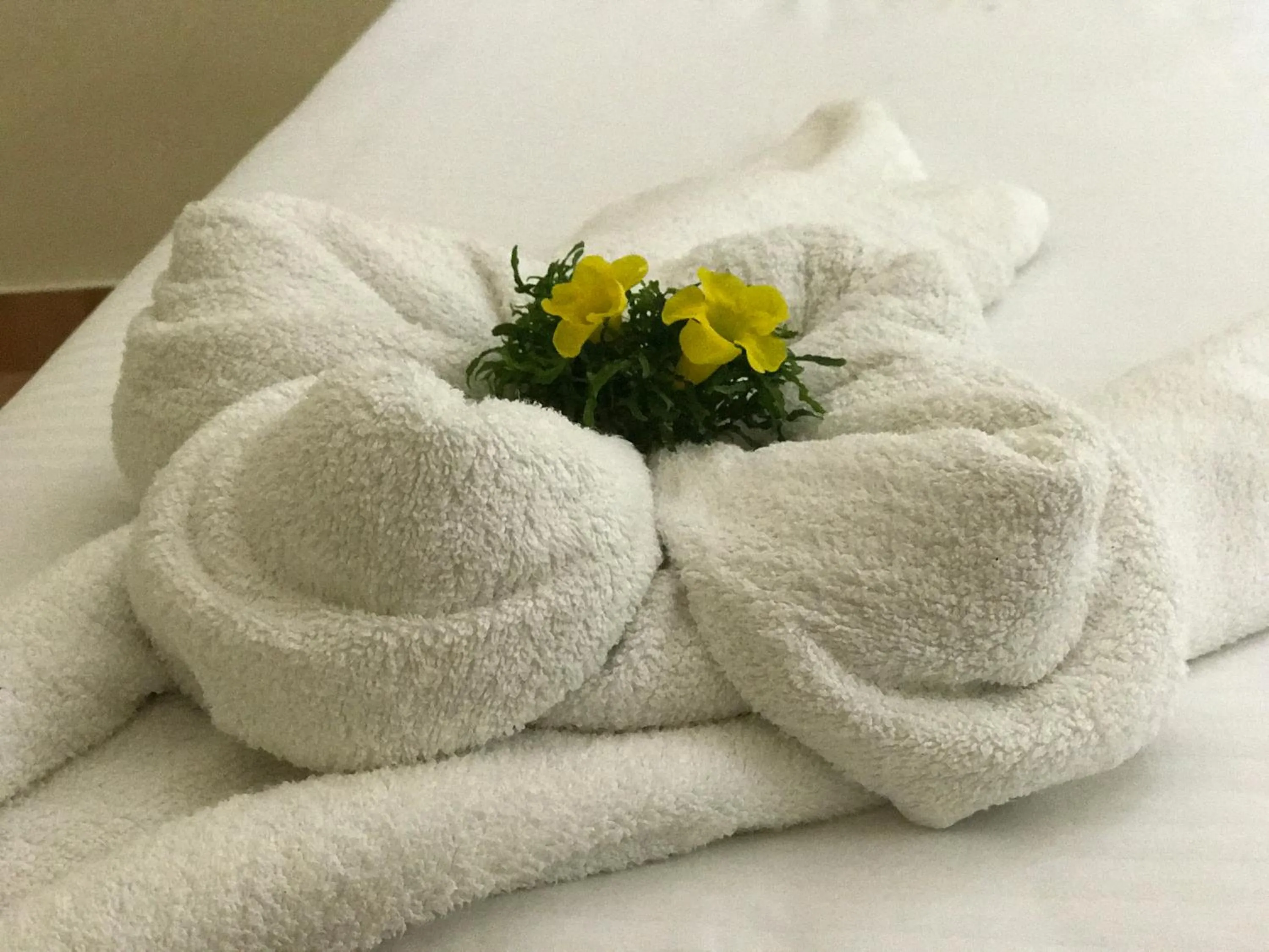 Area and facilities, Bed in Daffodils Spice Court