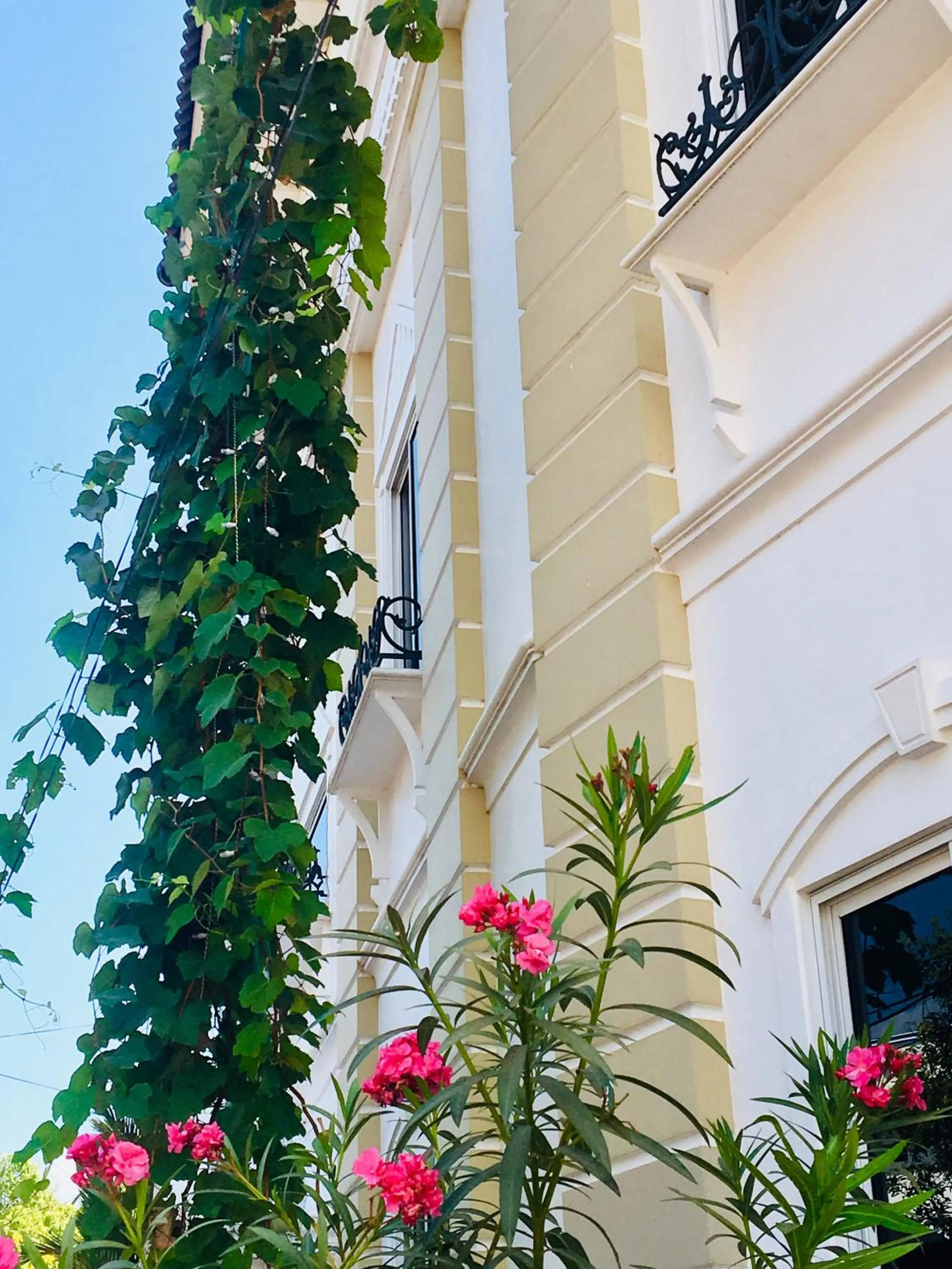 Garden in Daffodils Spice Court