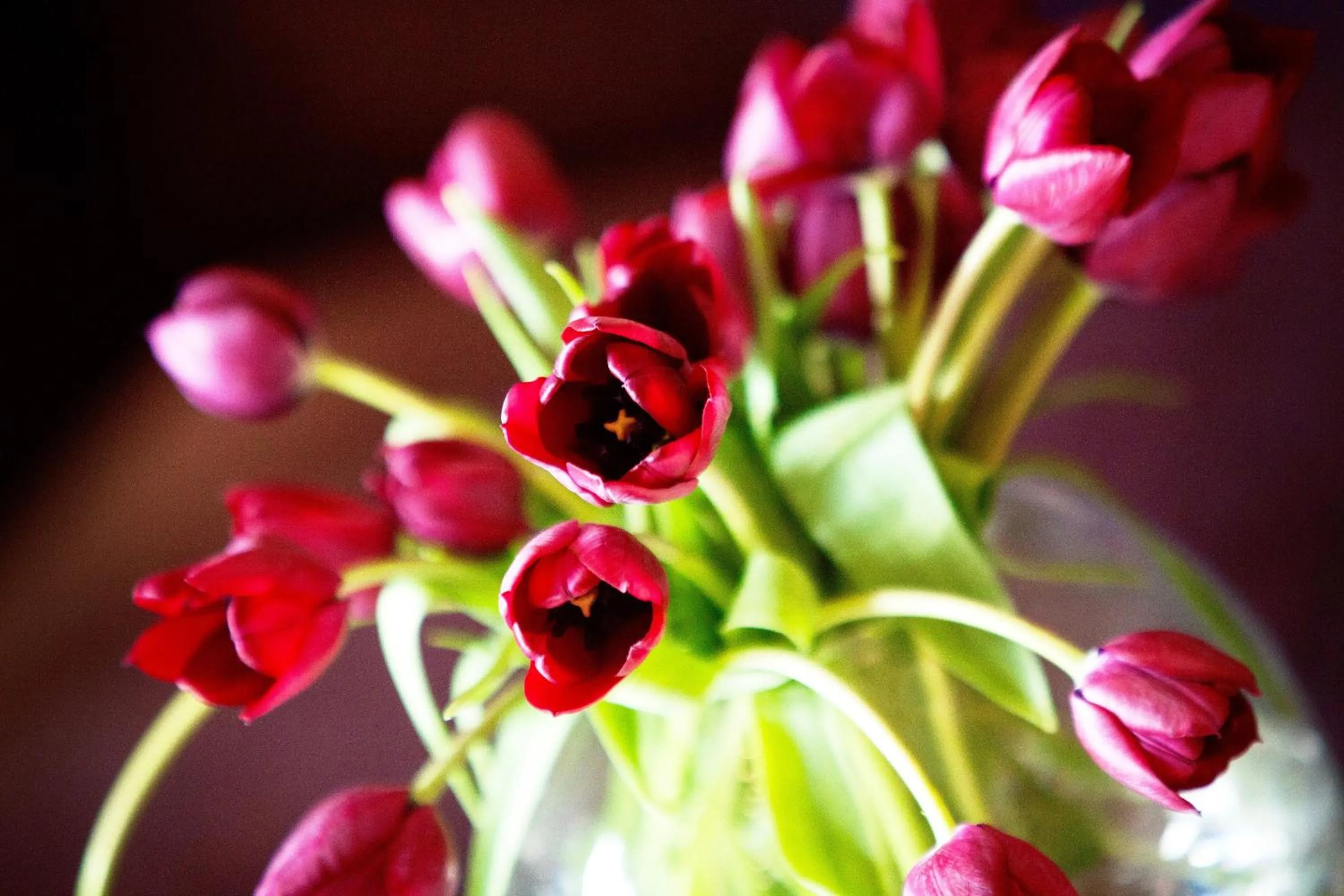 Communal lounge/ TV room in York House Hotel