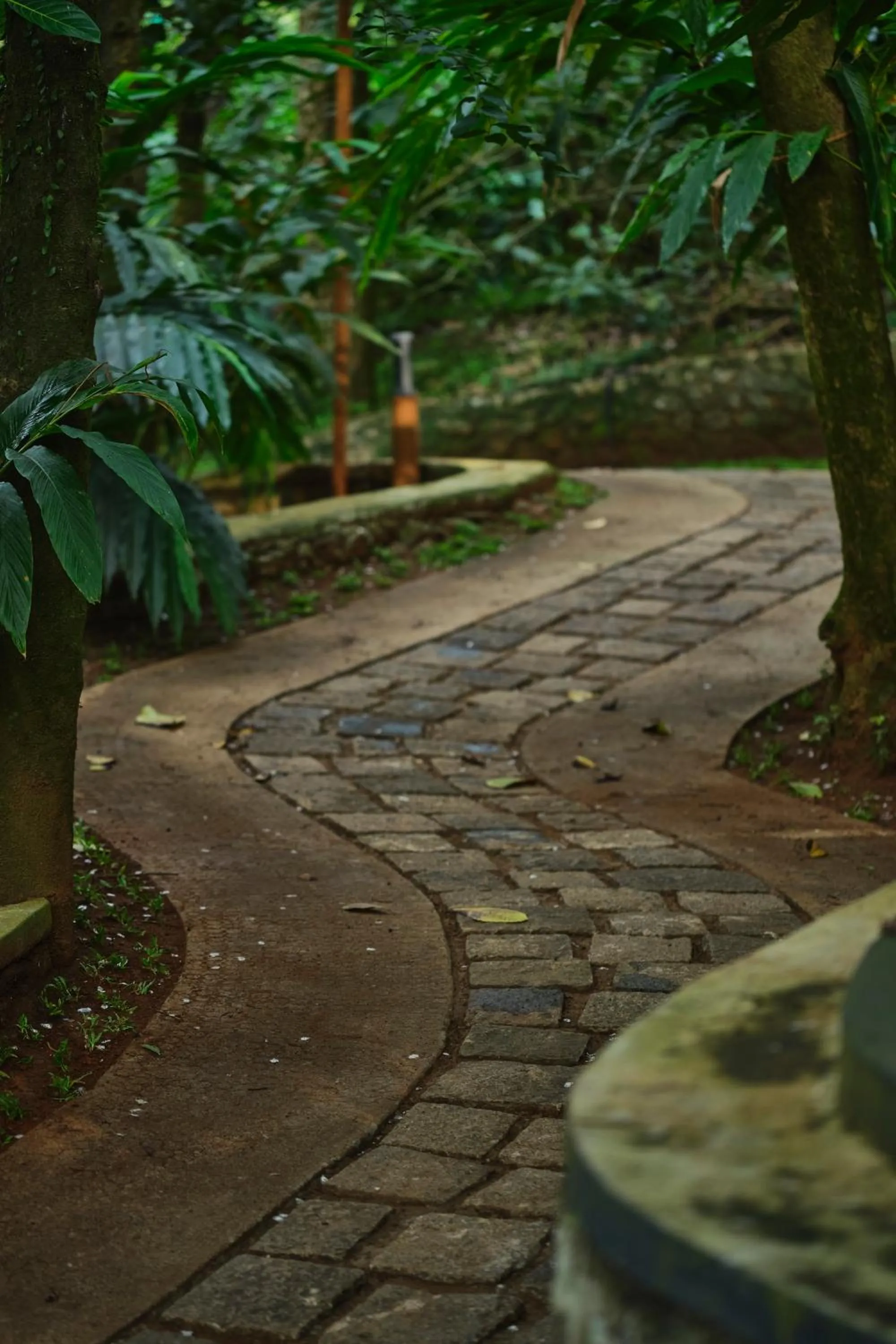 Natural landscape in Reen Resorts Aanavilasam Plantation Thekkady