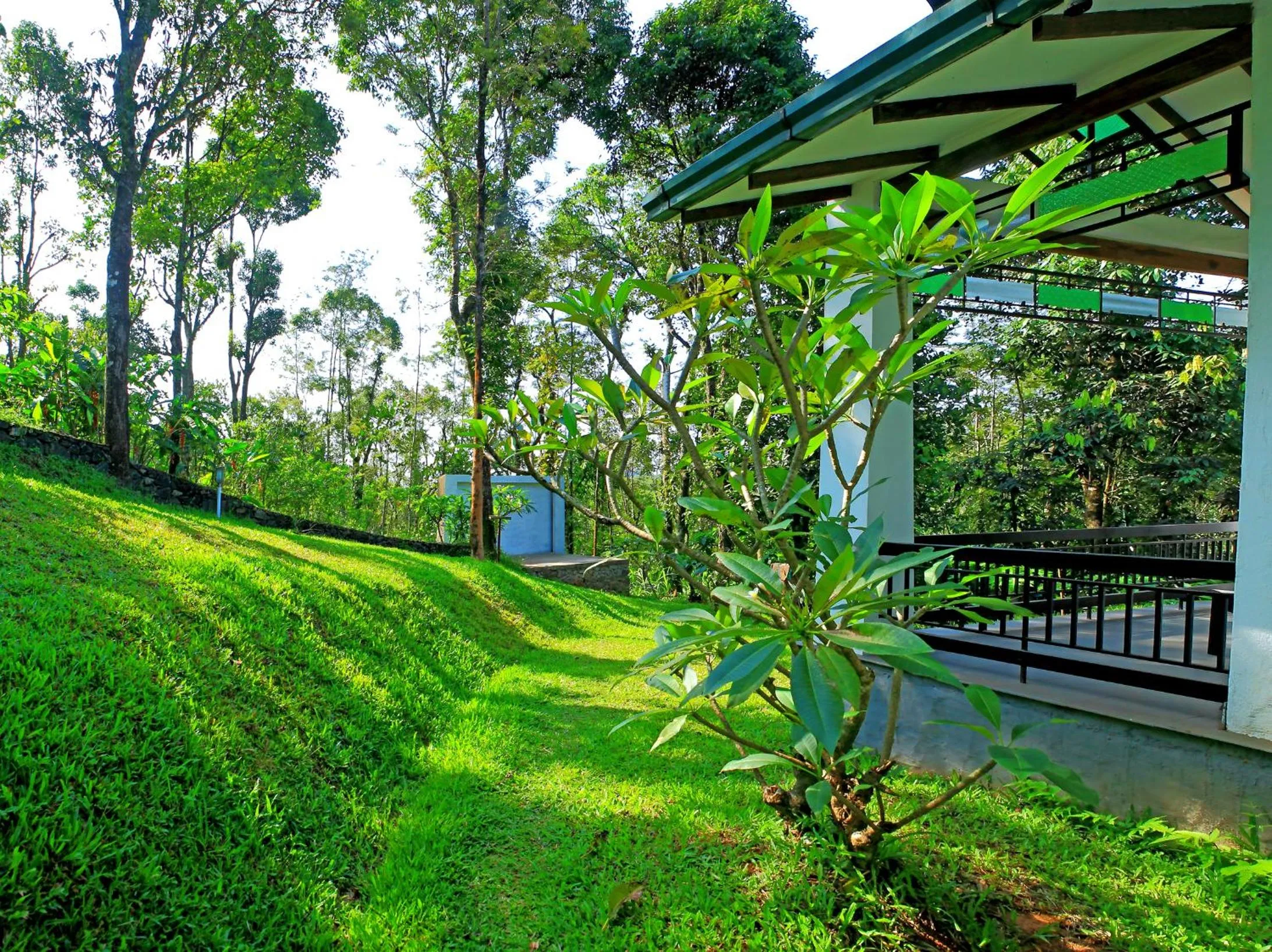 Garden in Reen Resorts Aanavilasam Plantation Thekkady